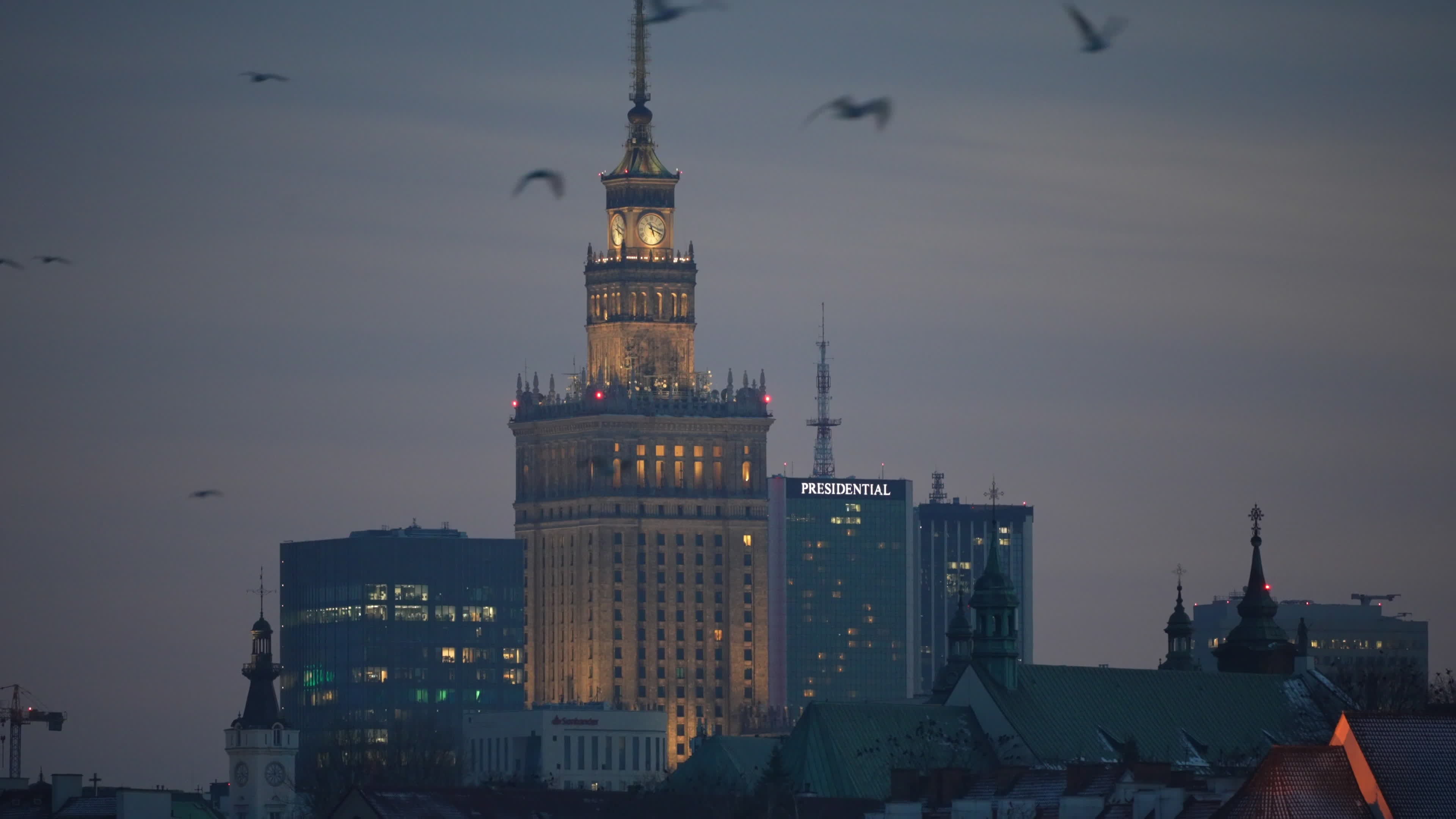 Thousands of seagulls gather on "ice pancakes" on Vistula river