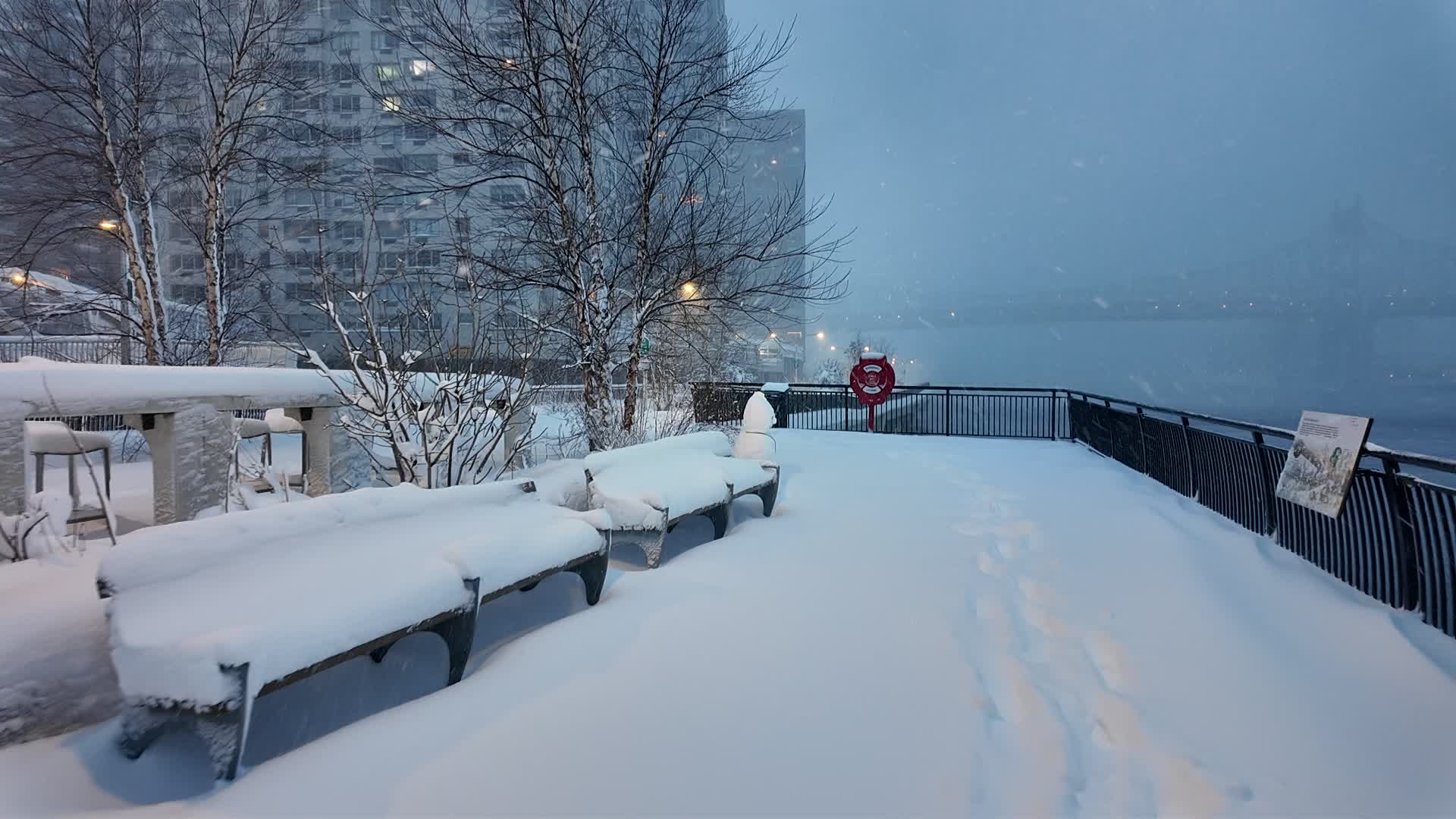 New York City Winter Storm
