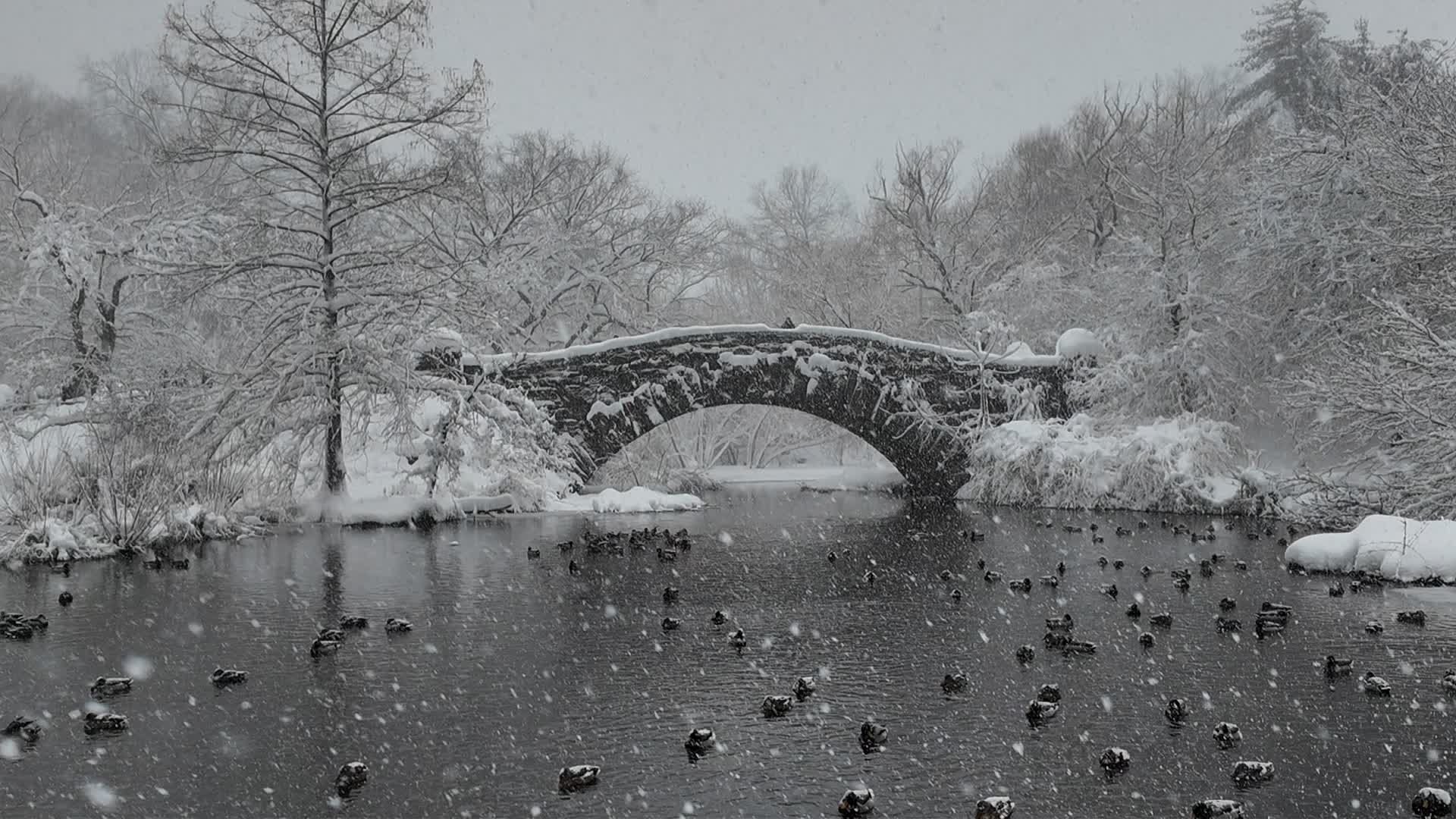 New York City Winter Storm