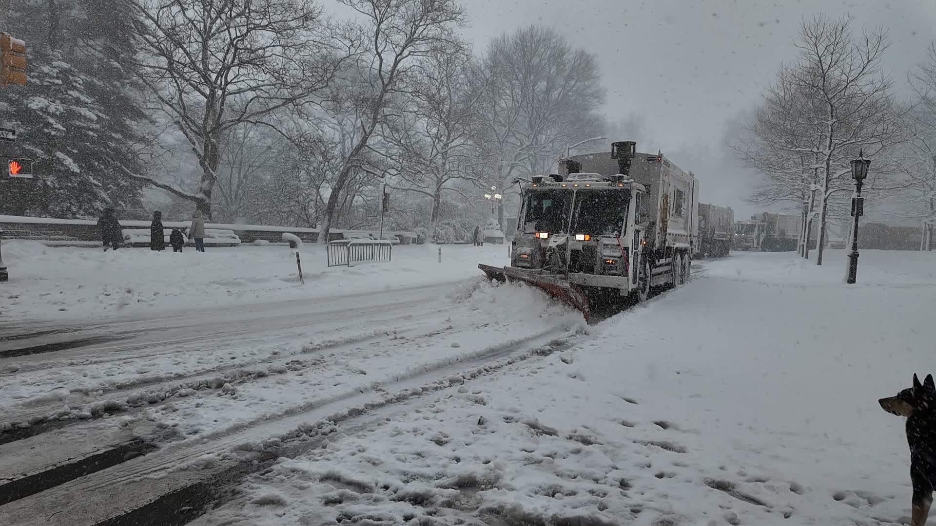 New York City Winter Storm
