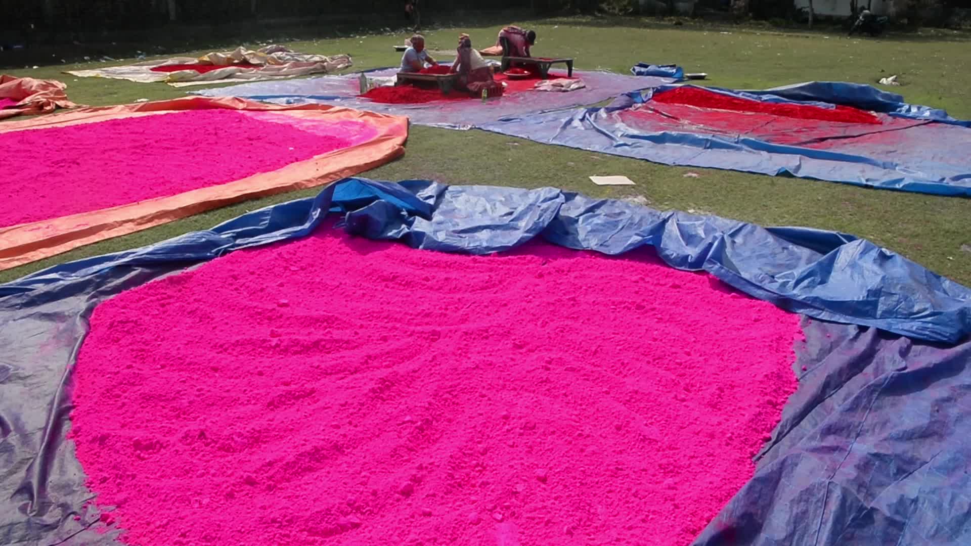 India Religion Hindu Holi Festival