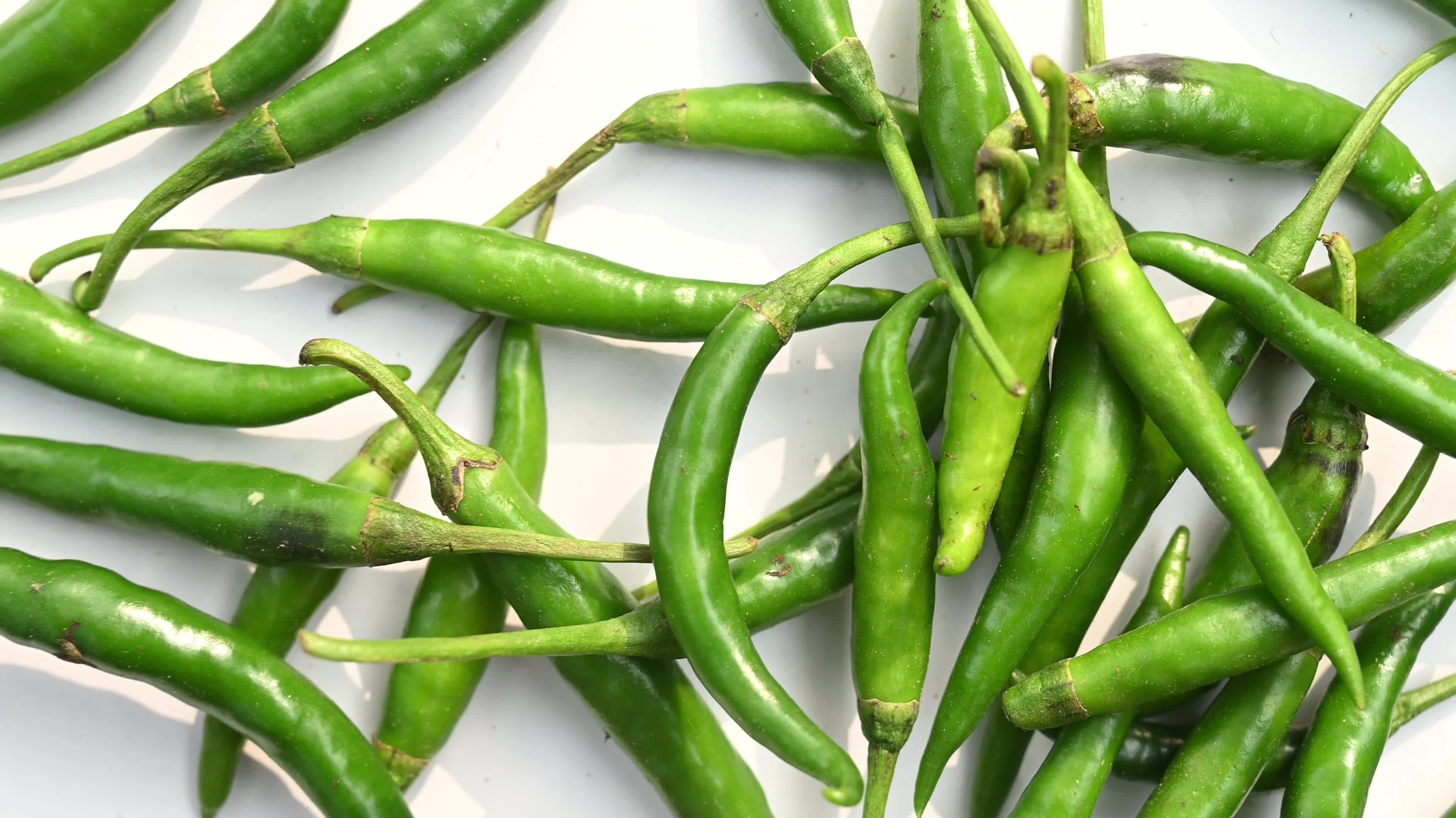 Green Chilli Pepper - Agricultural pest