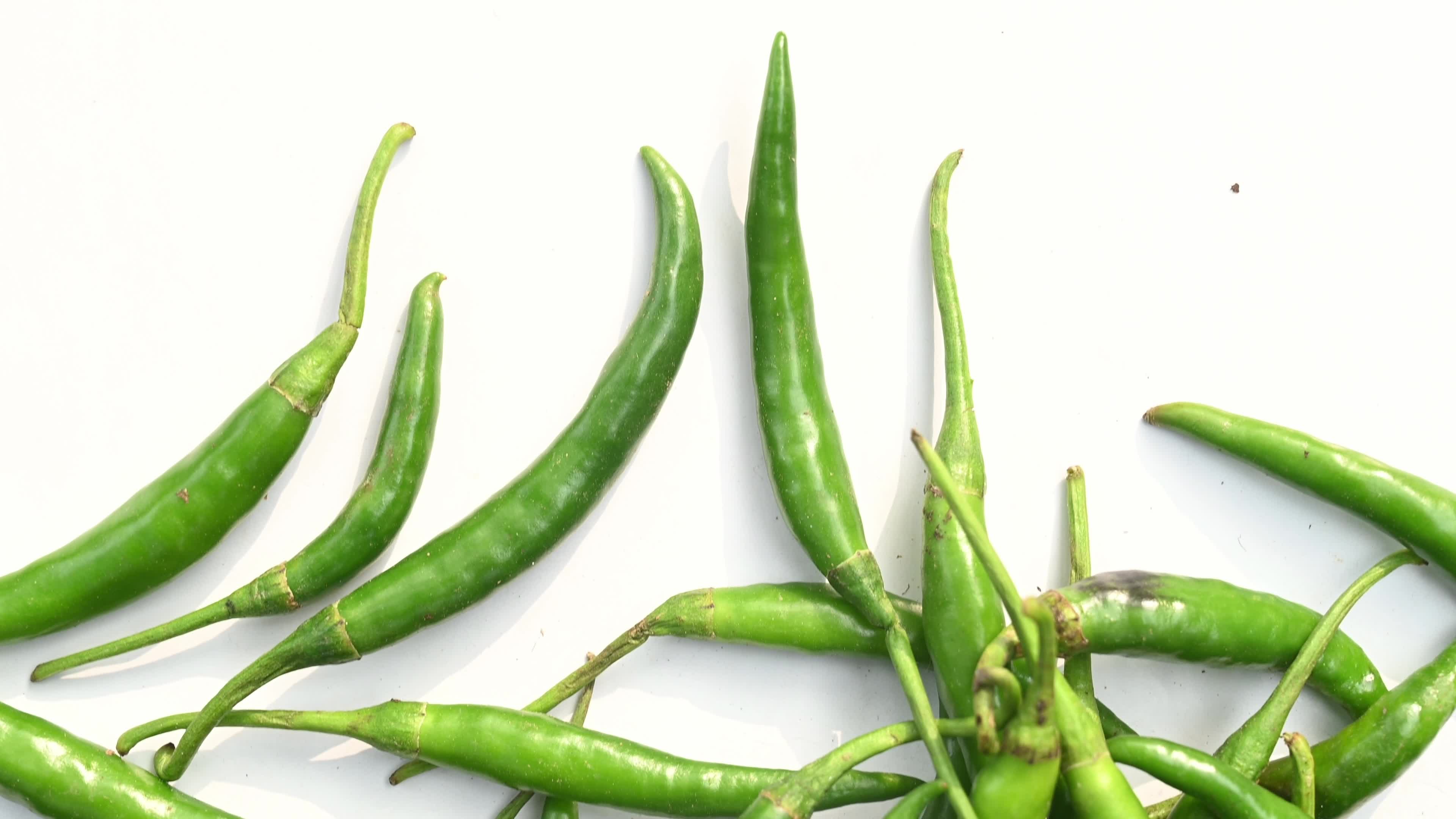 Green Chilli Pepper - Agricultural pest