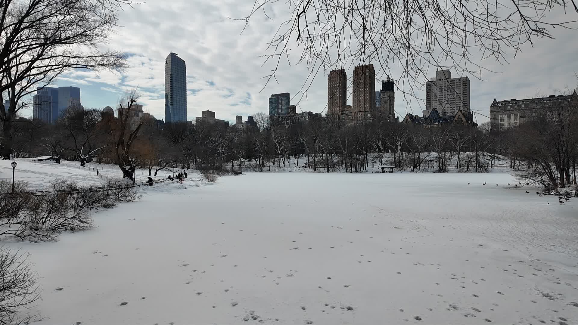 New York City Snow