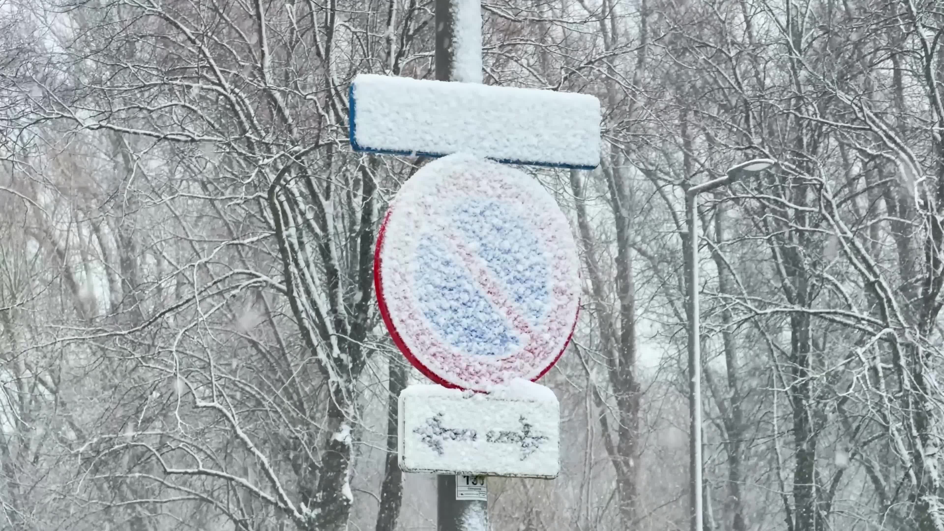 Winter Snowfall Affects the Netherlands