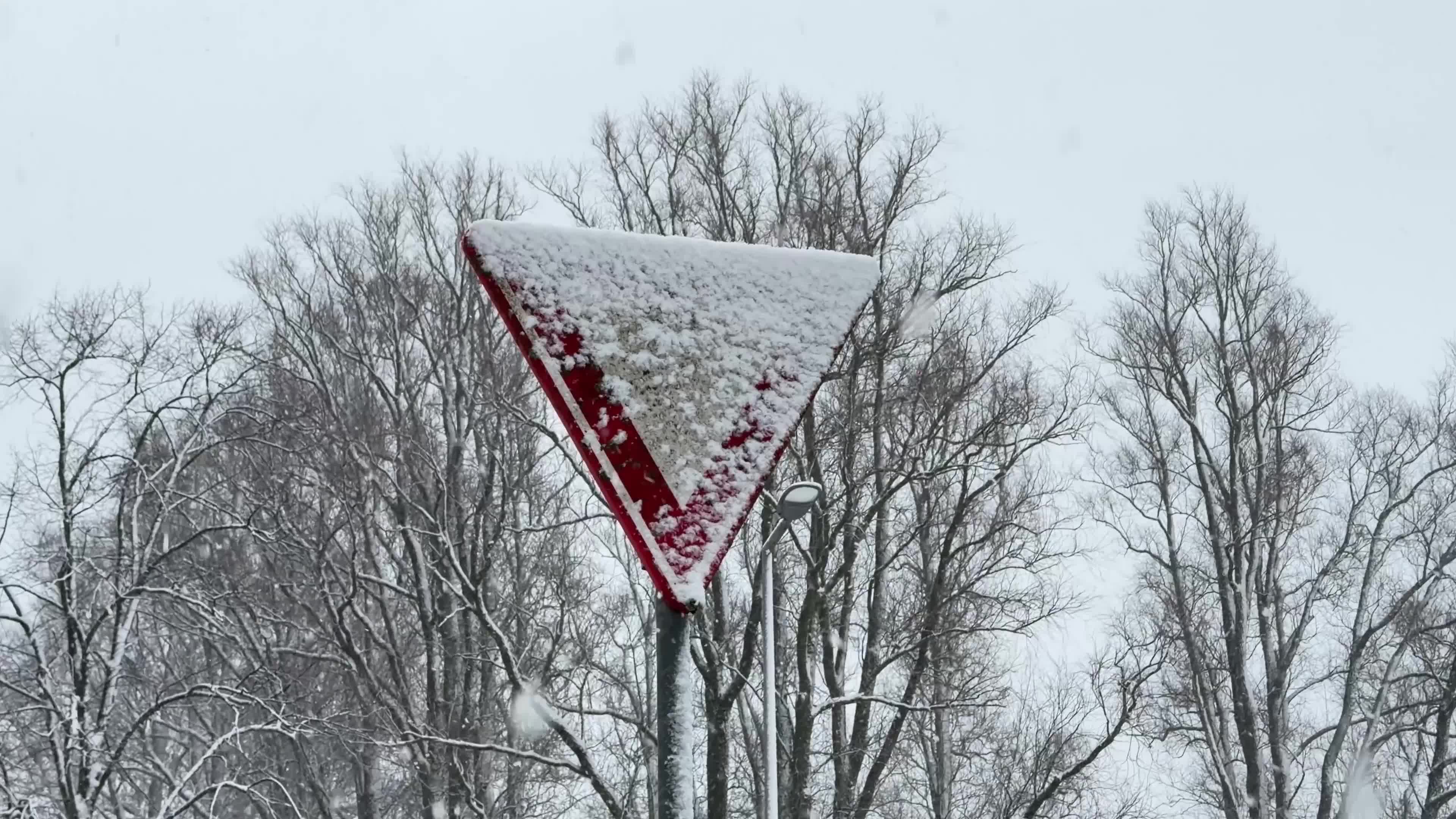 Winter Snowfall Affects the Netherlands
