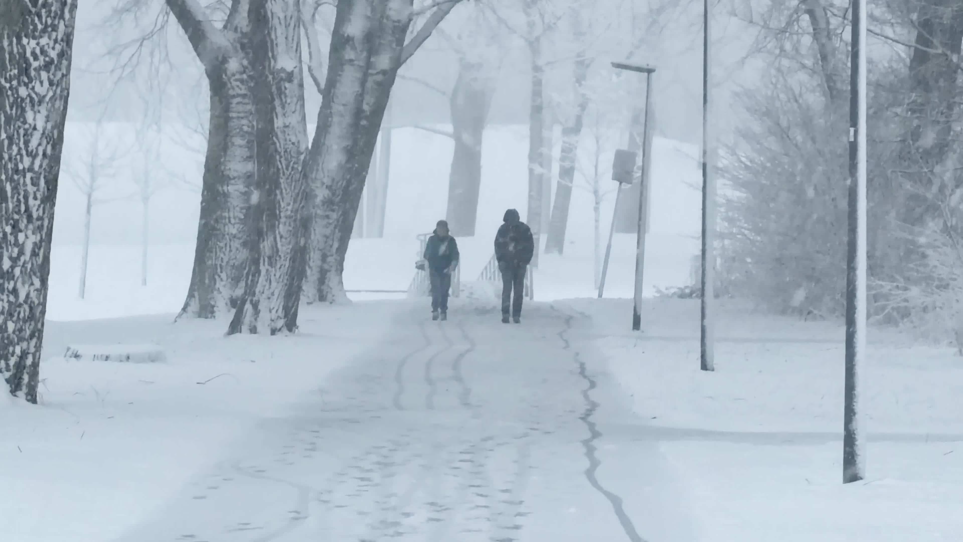 Winter Snowfall Affects the Netherlands