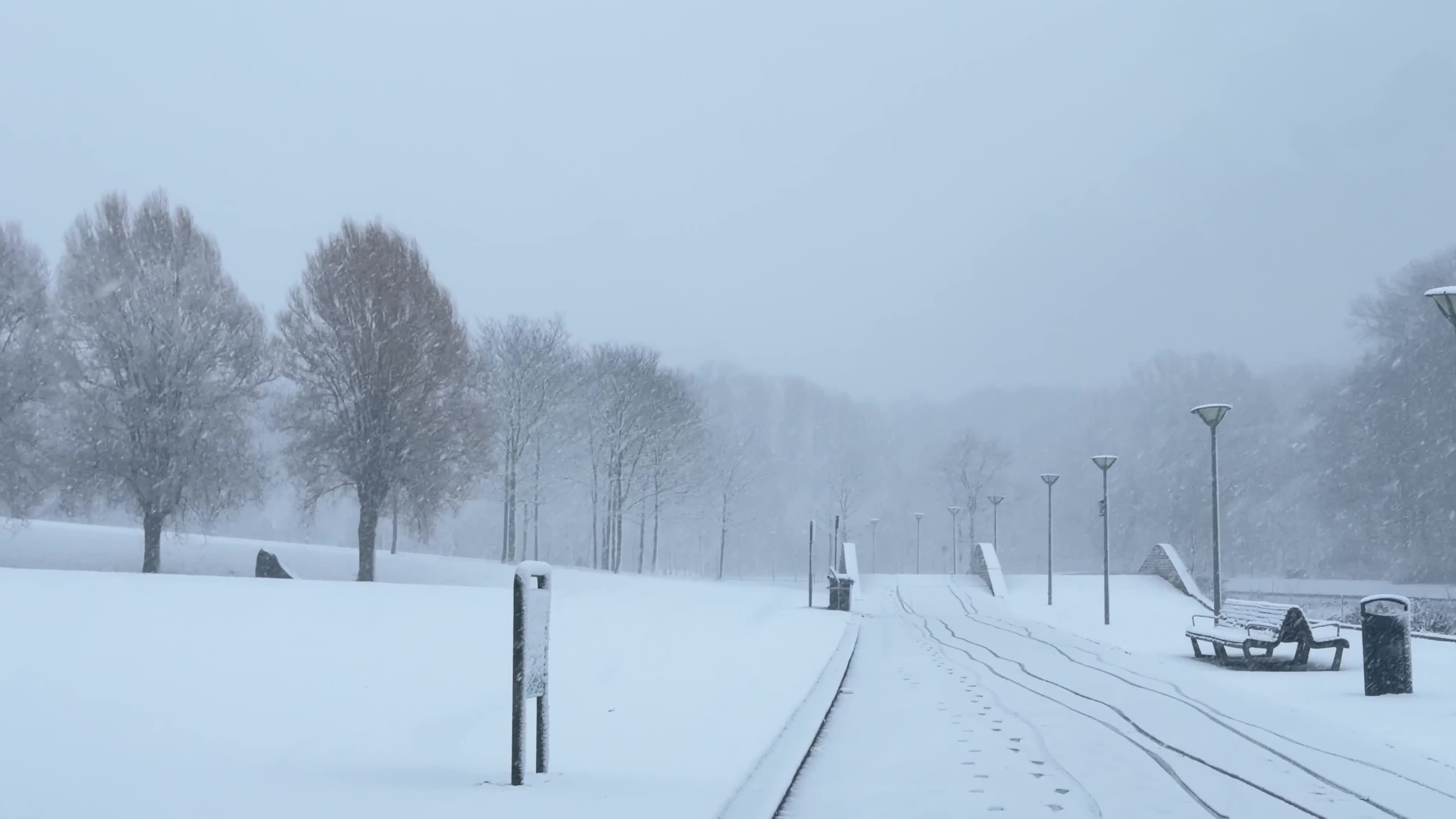 Winter Snowfall Affects the Netherlands