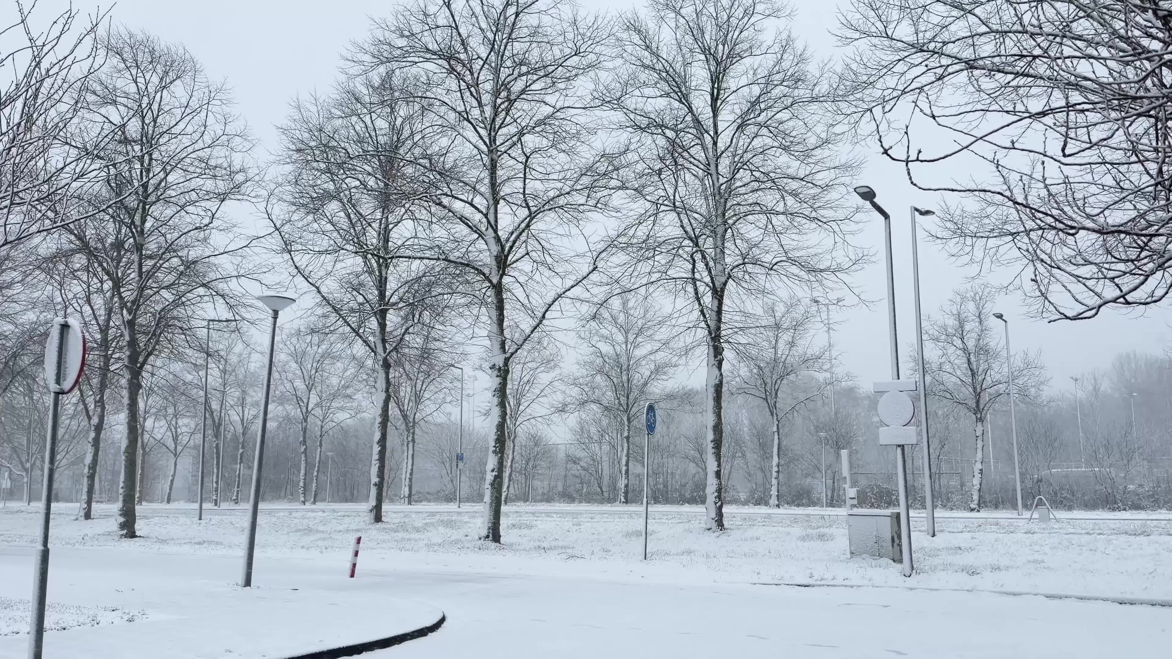 Winter Snowfall Affects the Netherlands