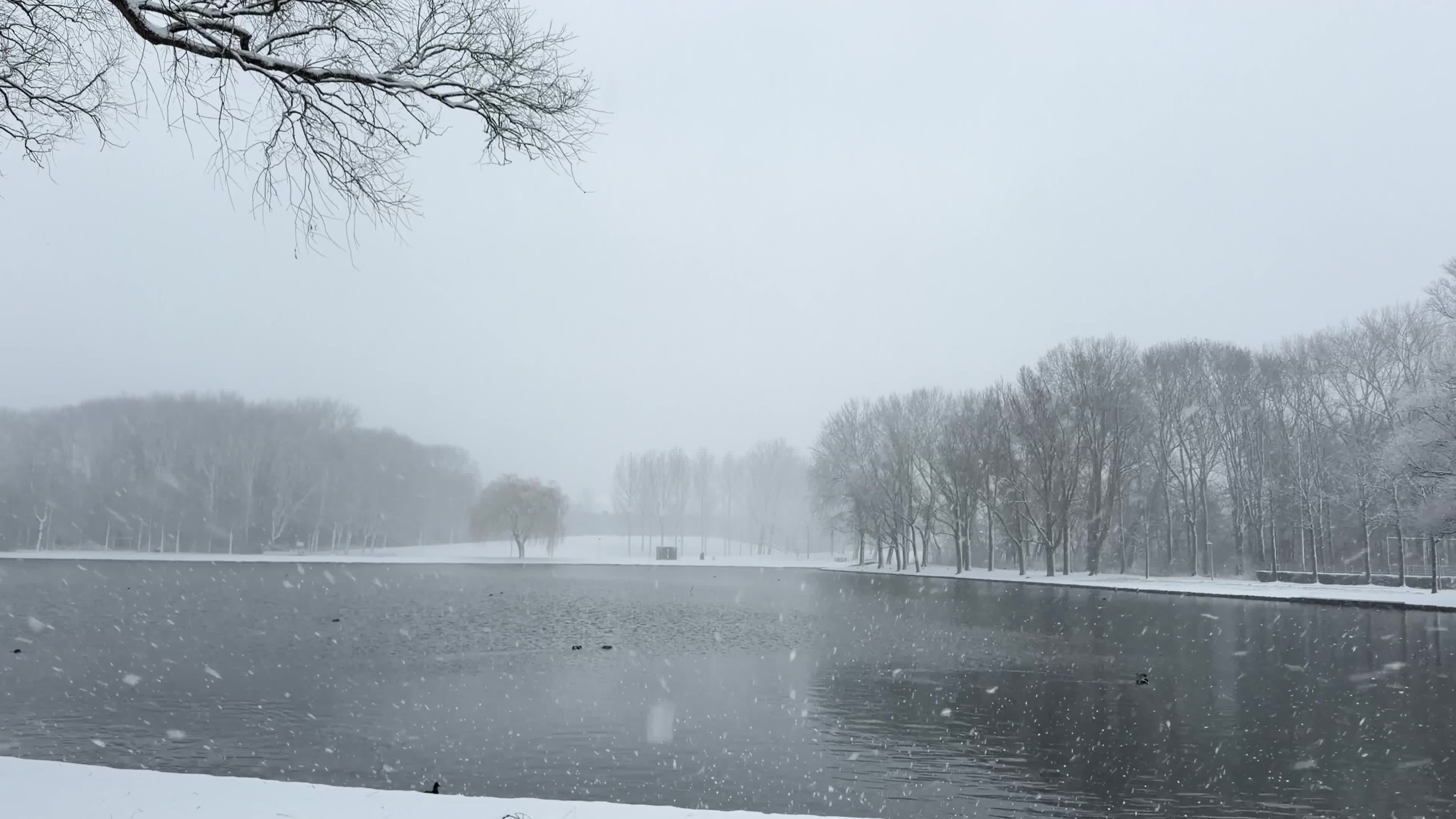Winter Snowfall Affects the Netherlands