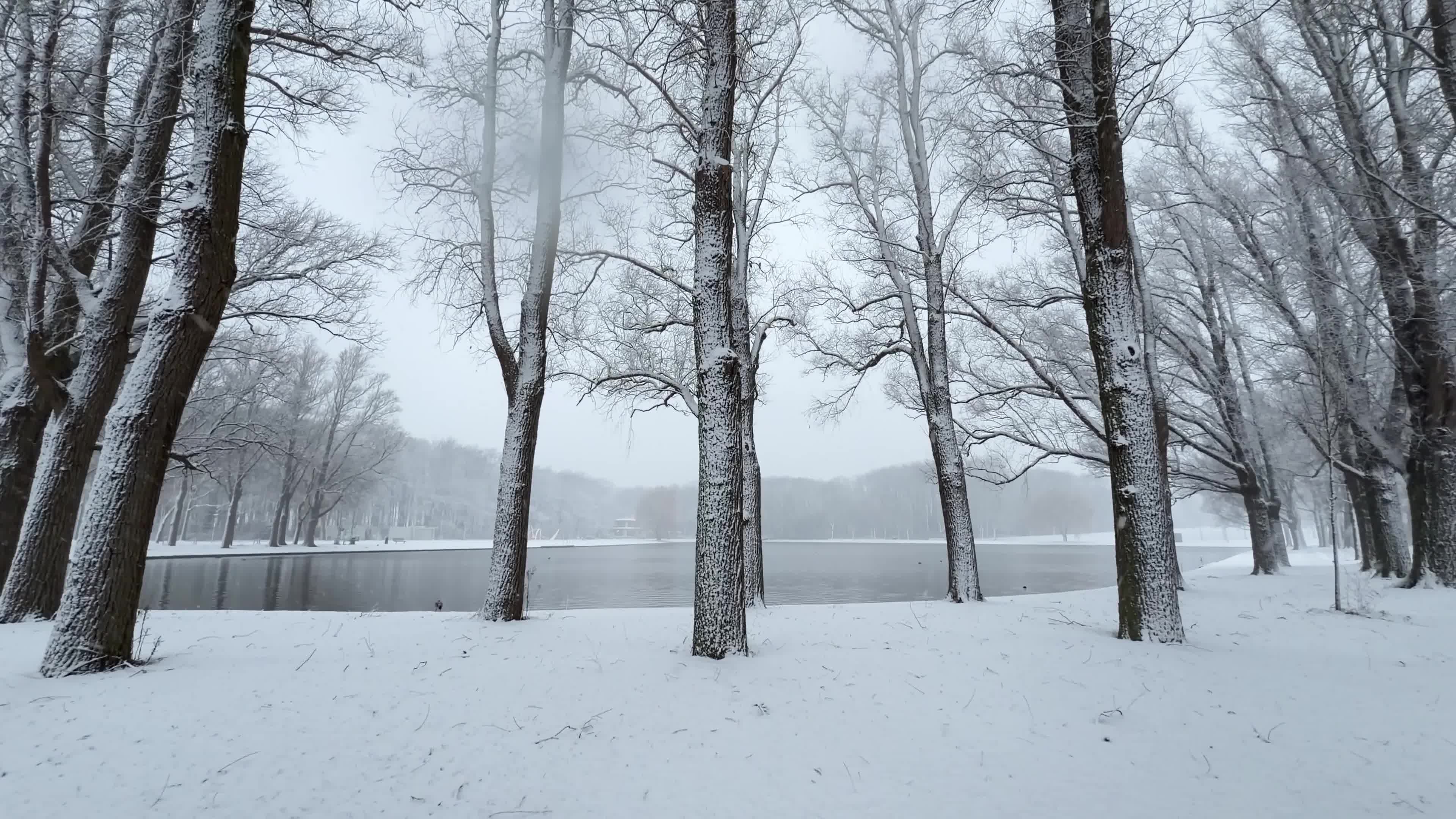 Winter Snowfall Affects the Netherlands