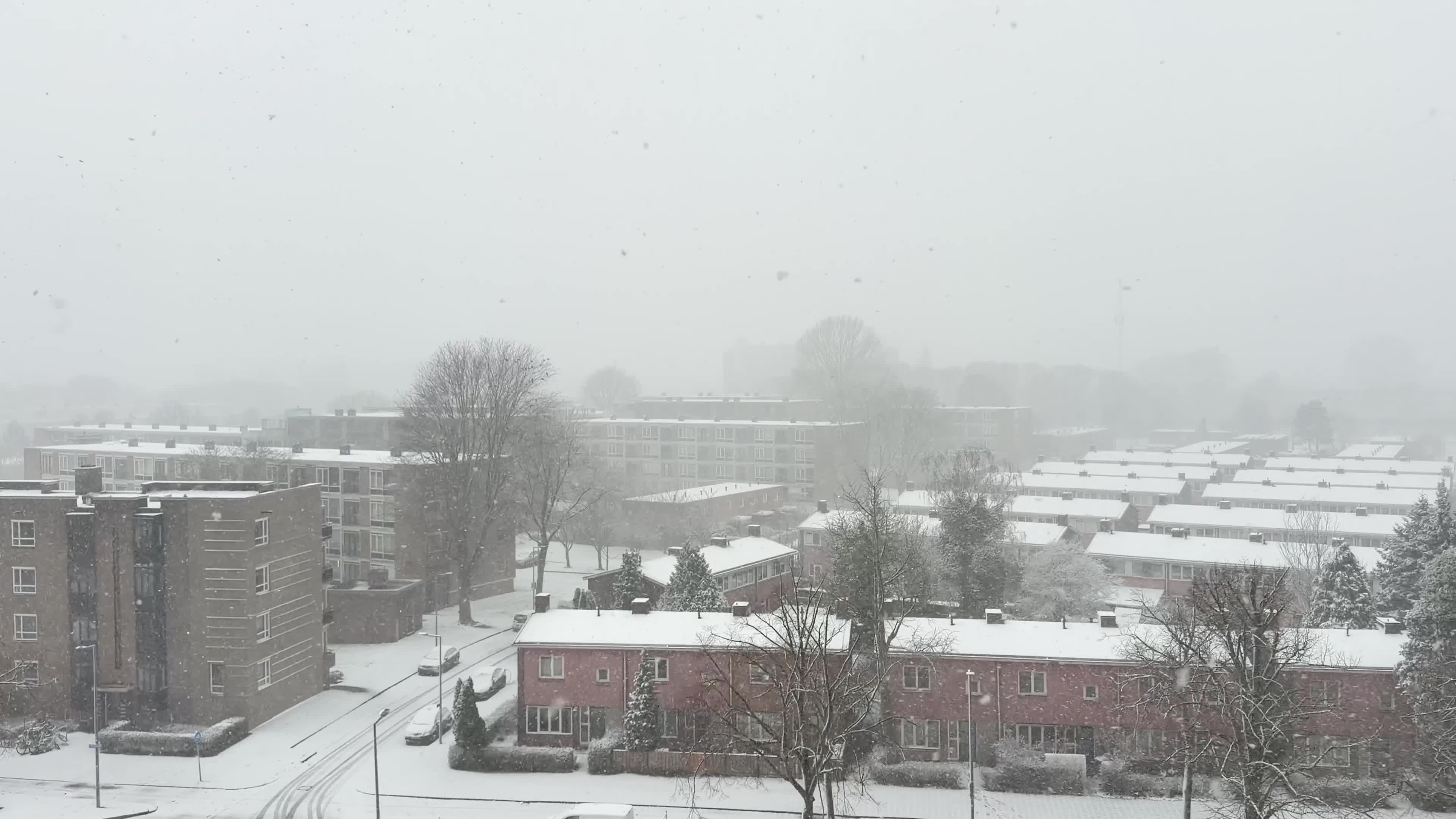 Winter Snowfall Affects the Netherlands