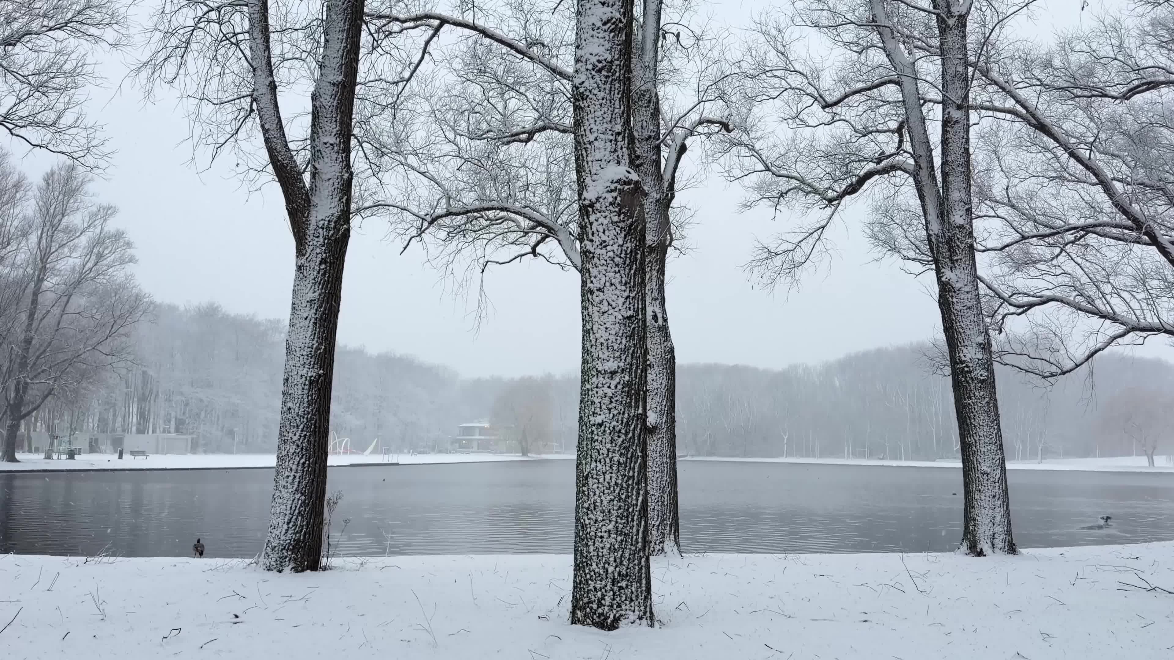Winter Snowfall Affects the Netherlands