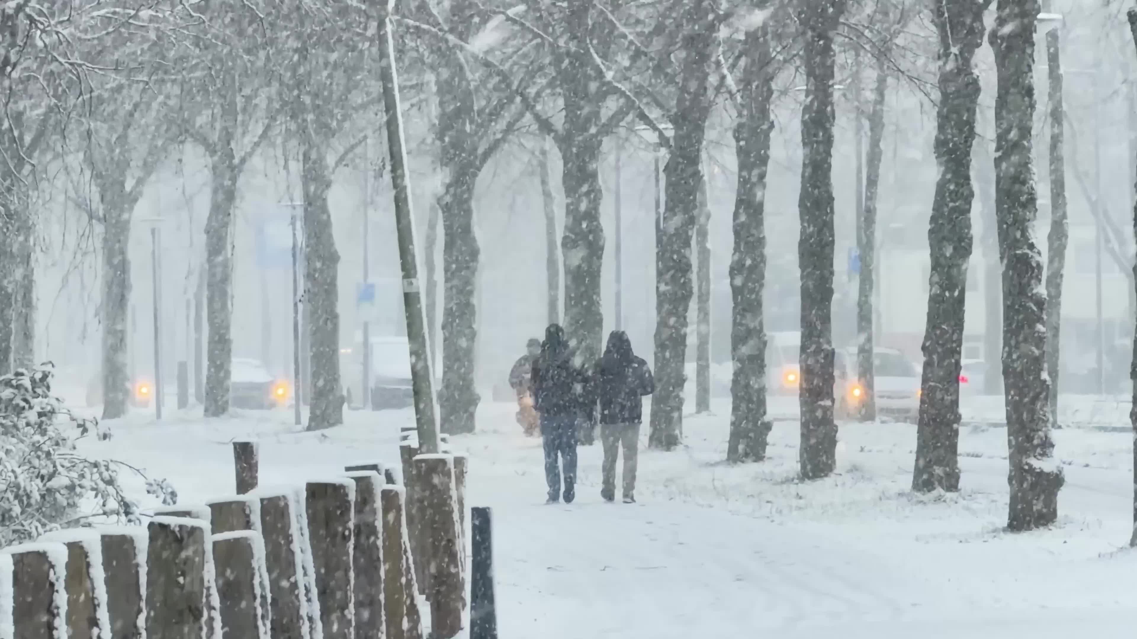 Winter Snowfall Affects the Netherlands
