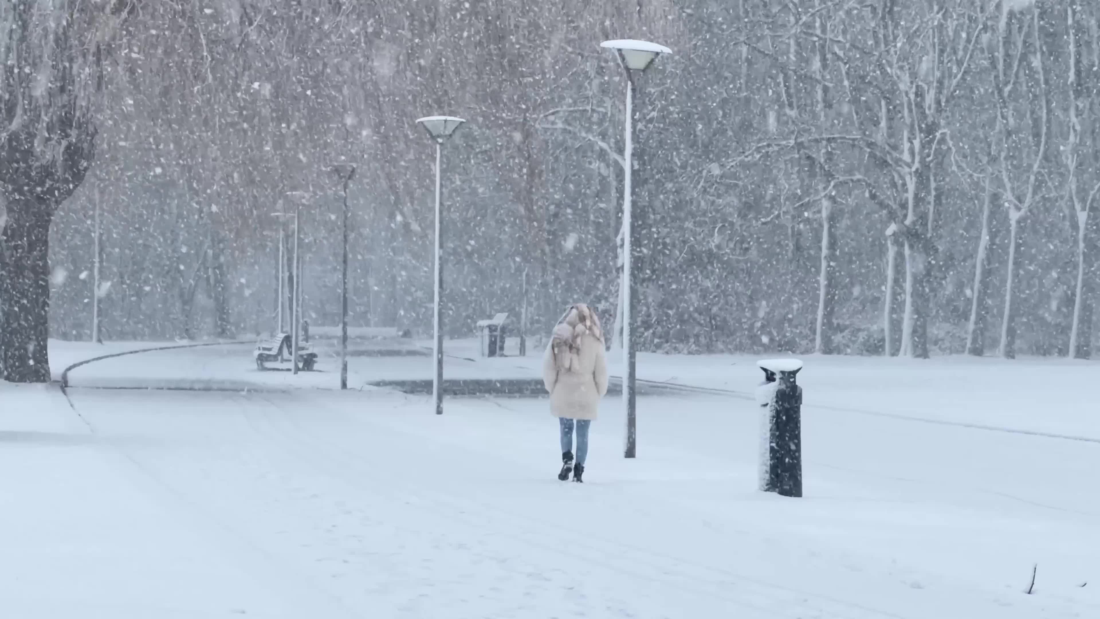 Winter Snowfall Affects the Netherlands