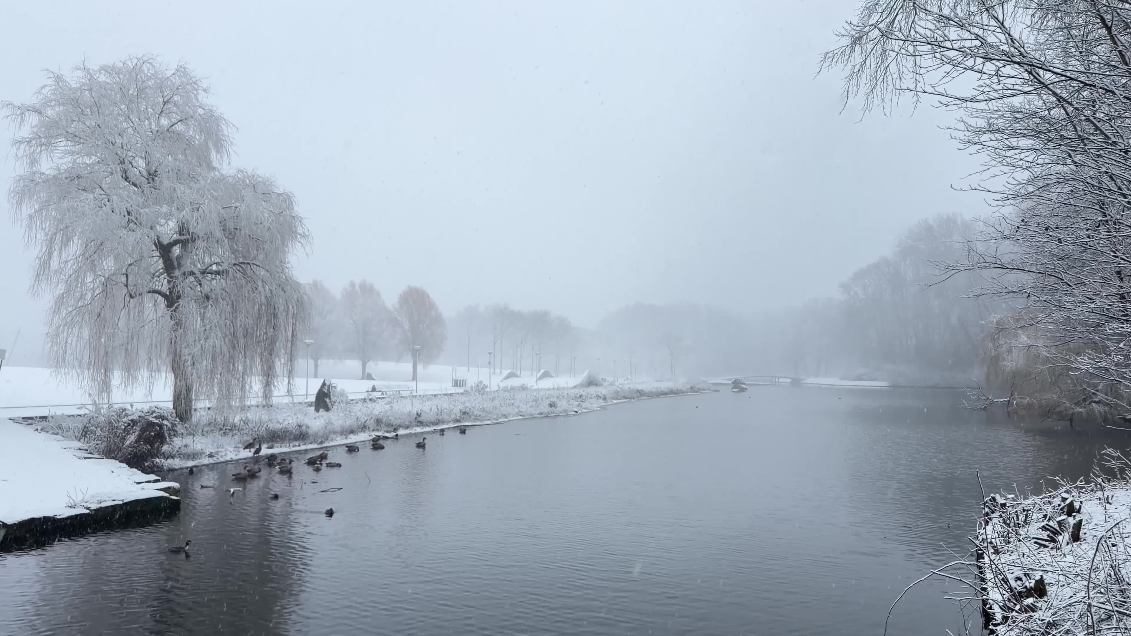 Winter Snowfall Affects the Netherlands