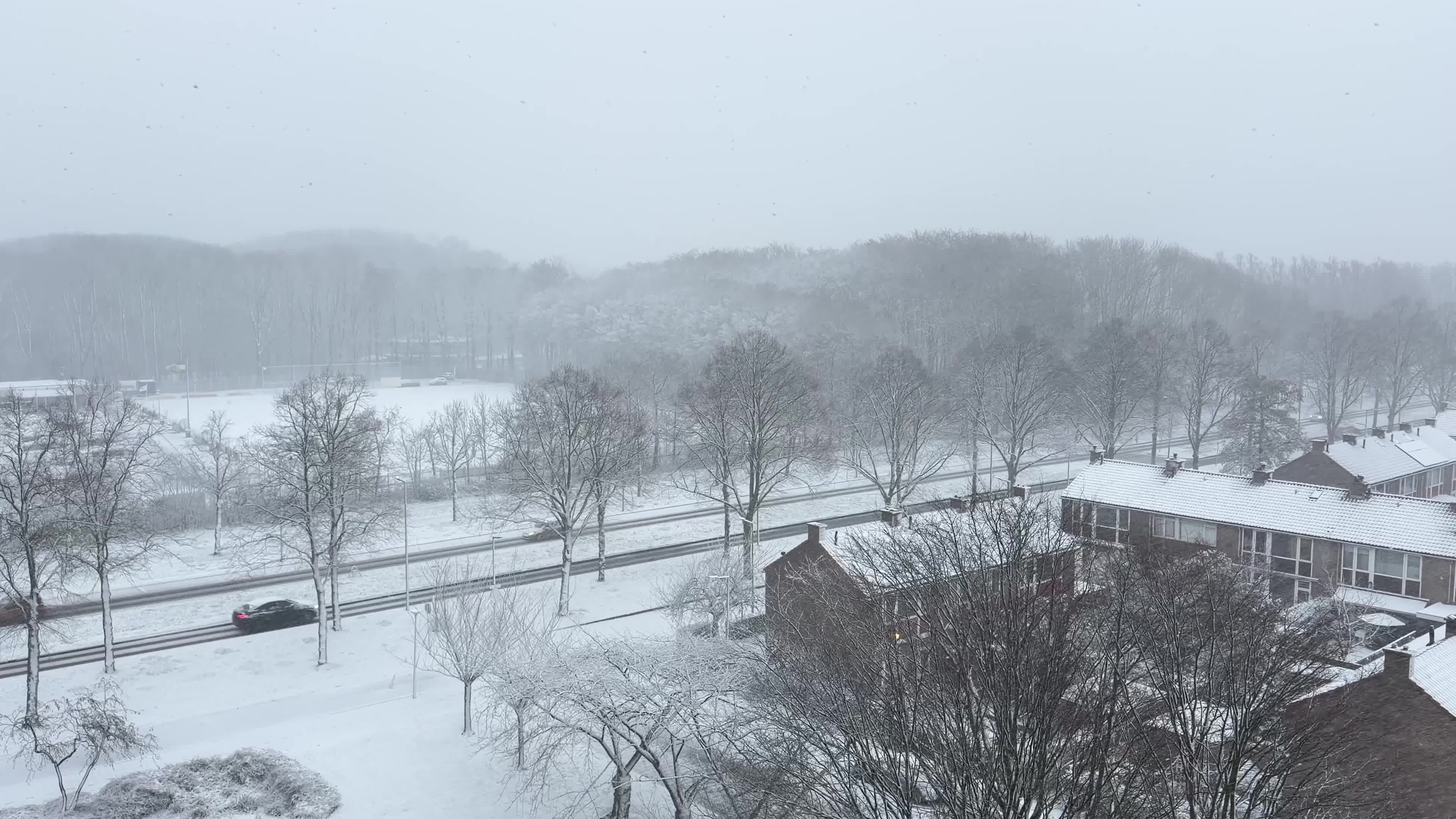 Winter Snowfall Affects the Netherlands