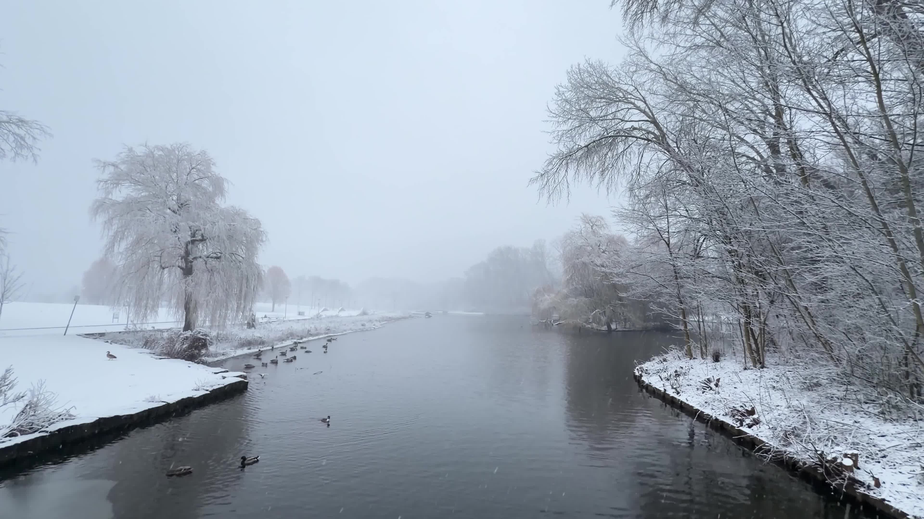 Winter Snowfall Affects the Netherlands