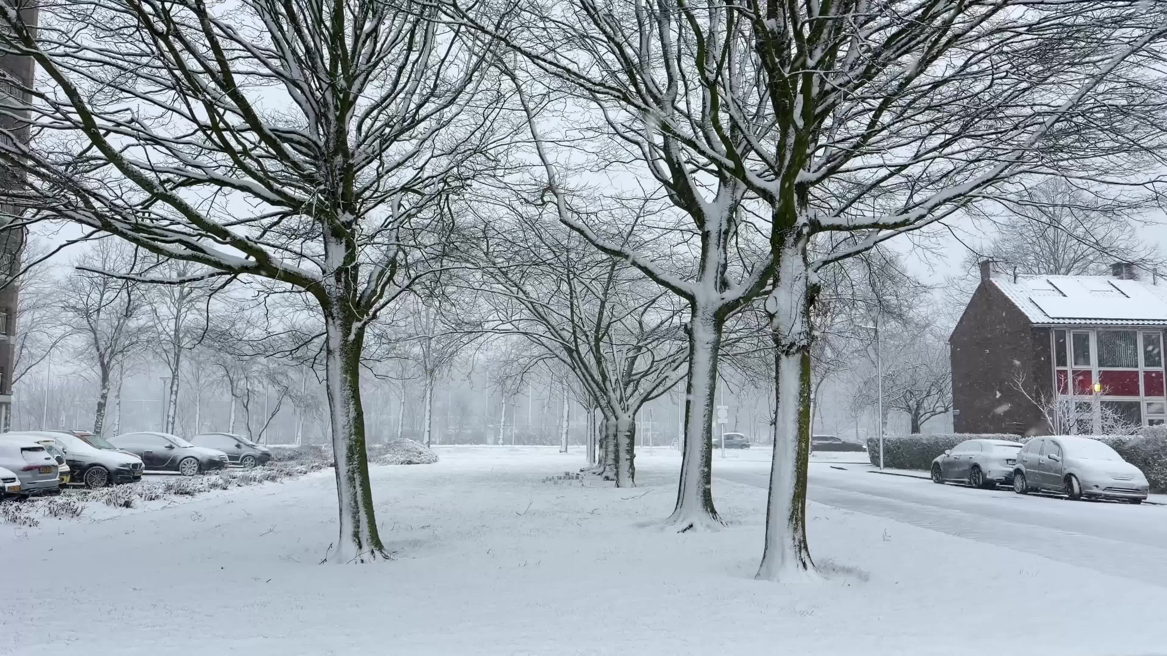 Winter Snowfall Affects the Netherlands