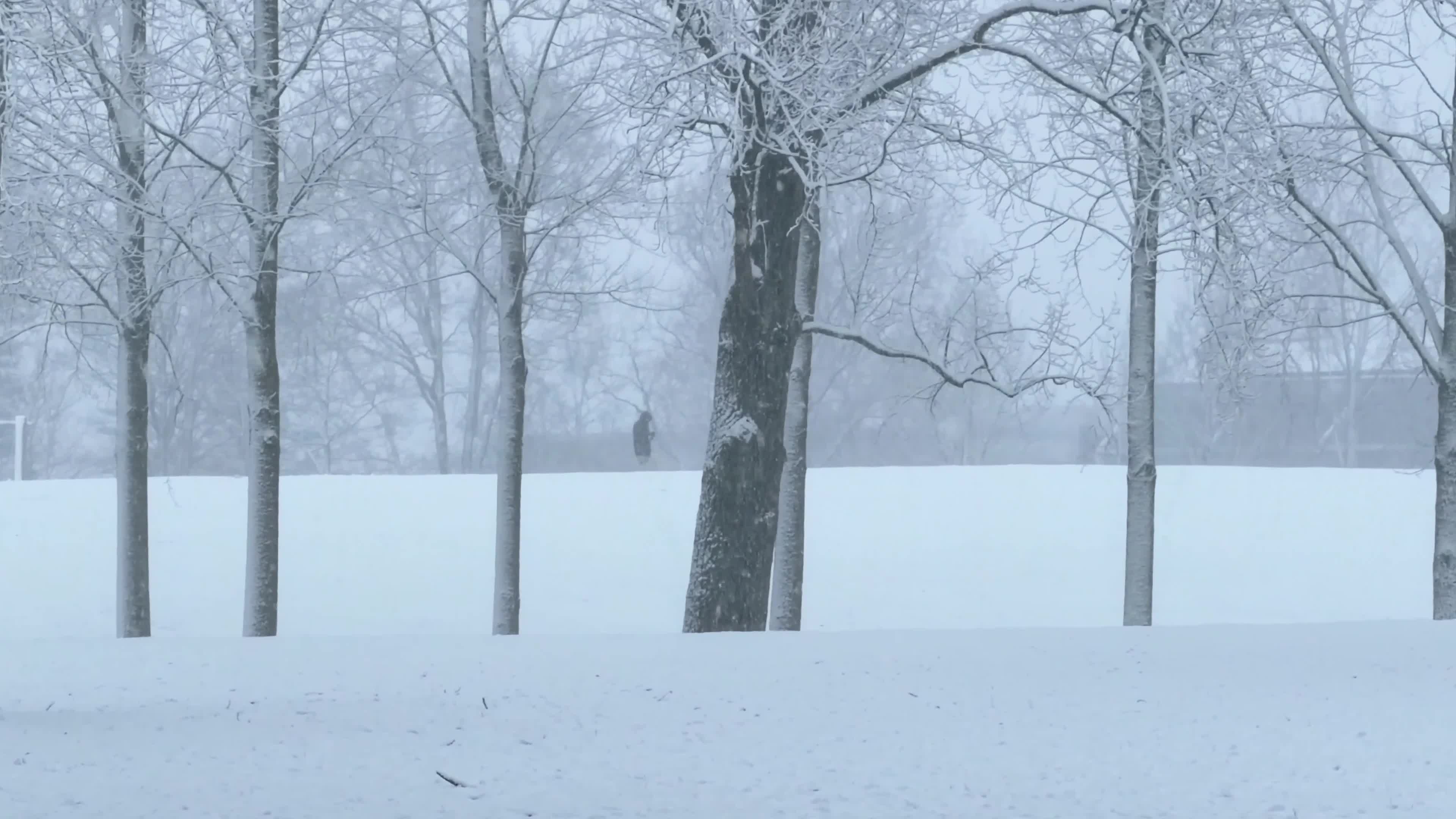Winter Snowfall Affects the Netherlands
