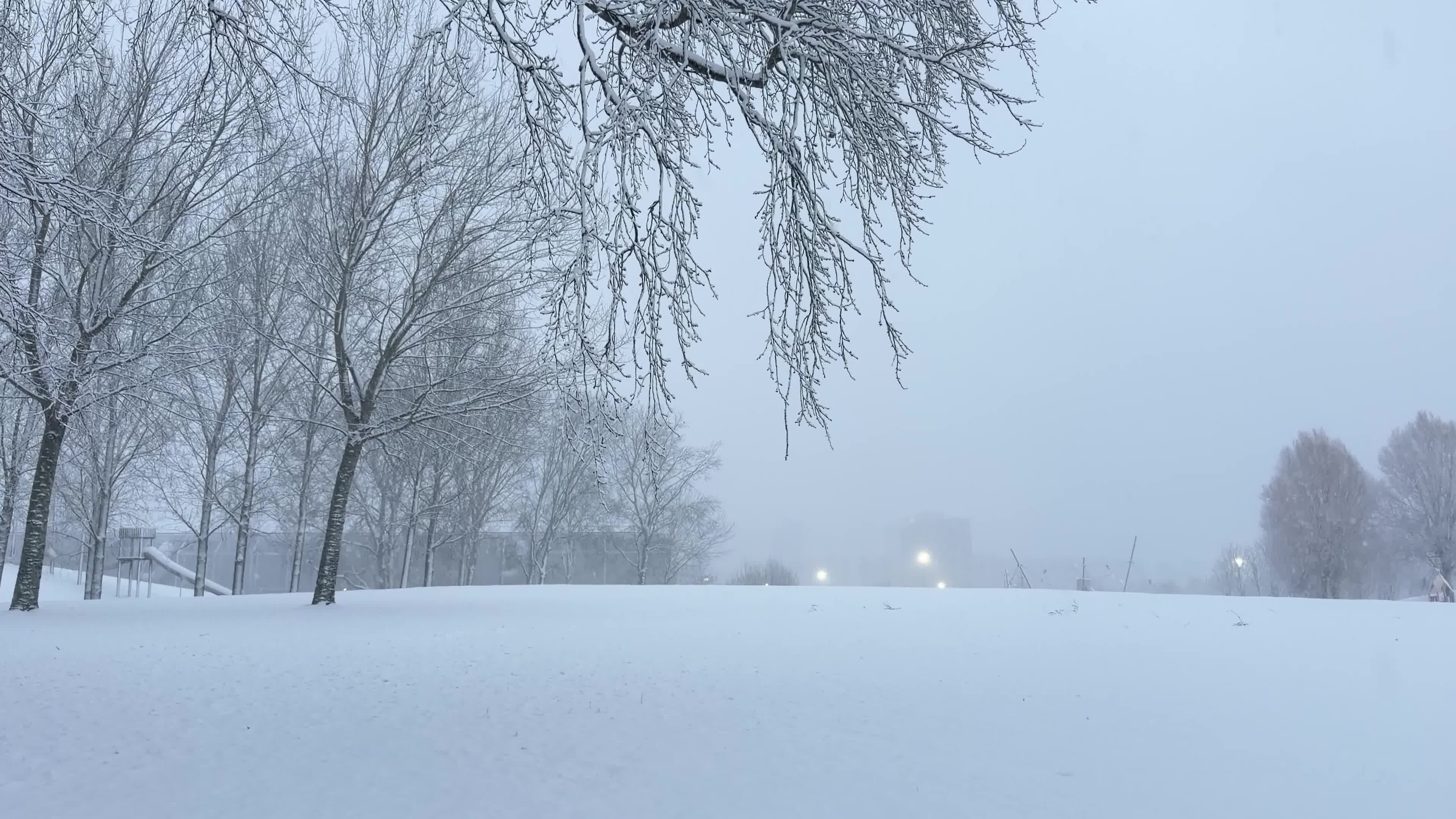 Winter Snowfall Affects the Netherlands