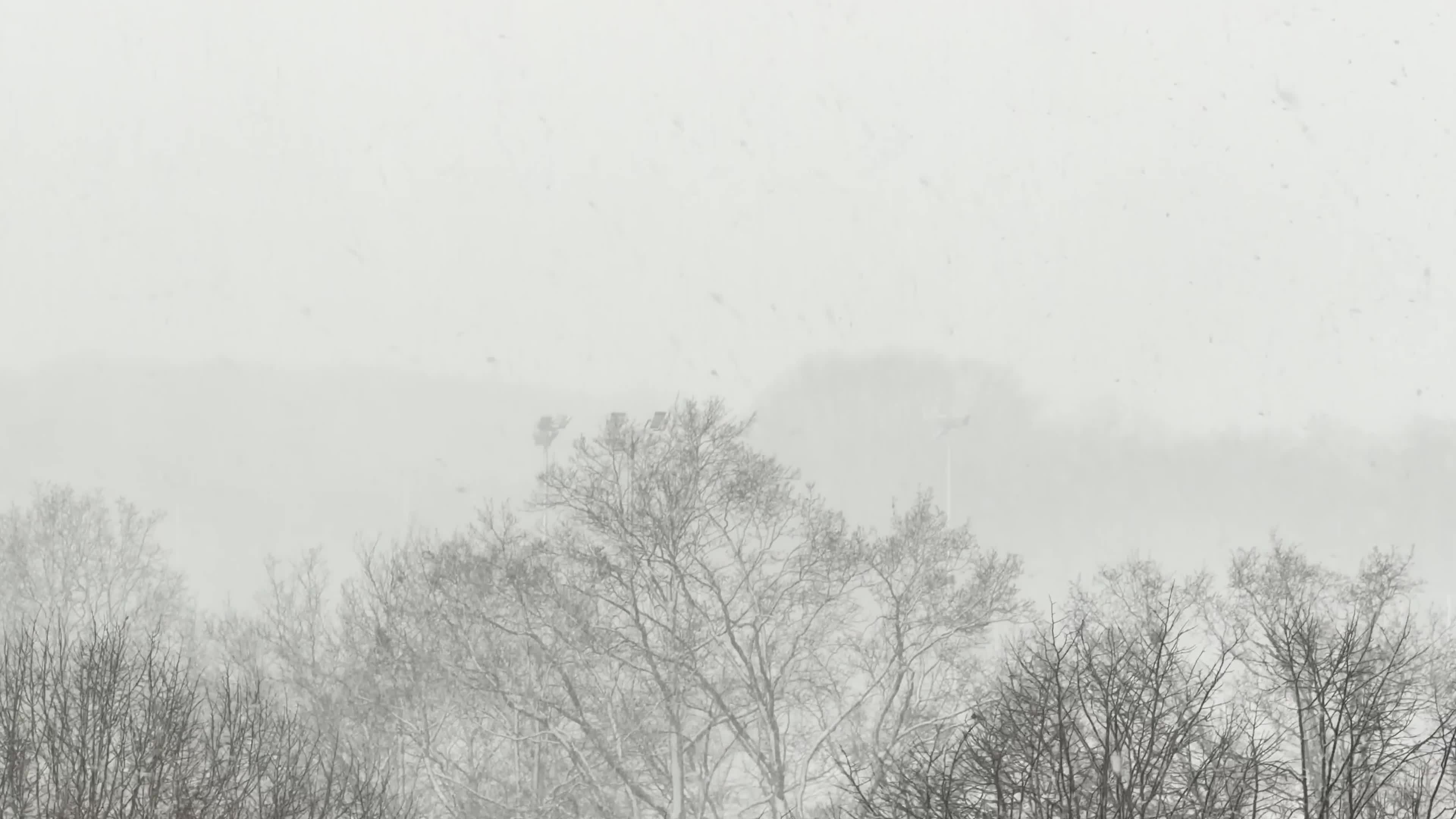 Winter Snowfall Affects the Netherlands