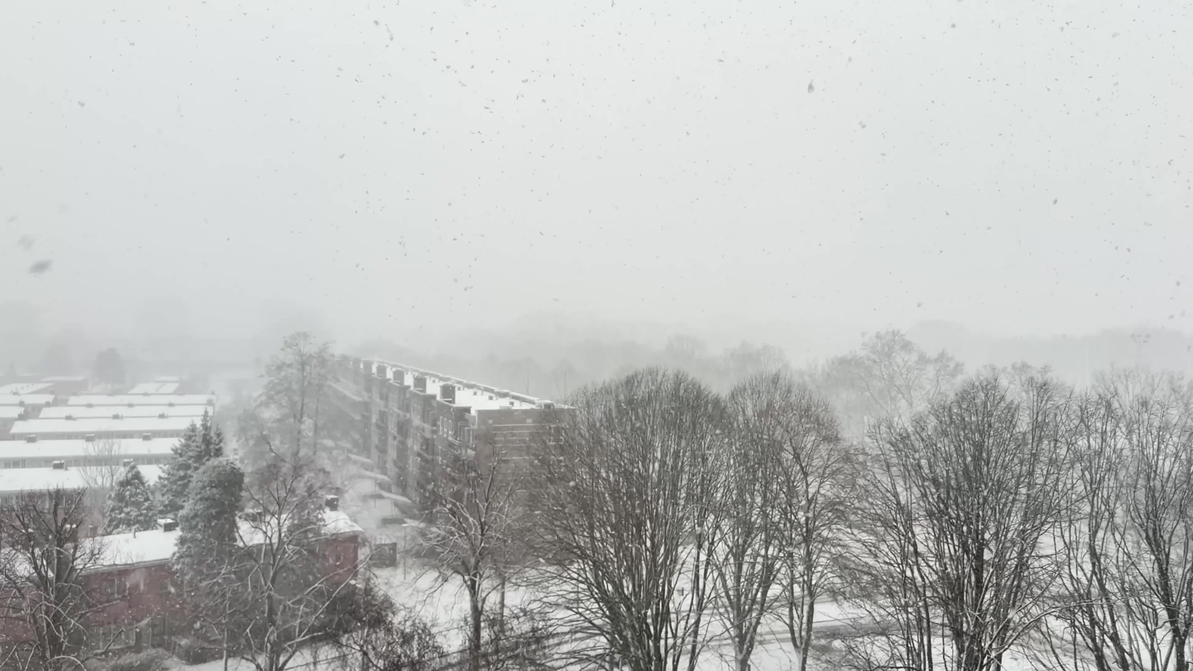 Winter Snowfall Affects the Netherlands