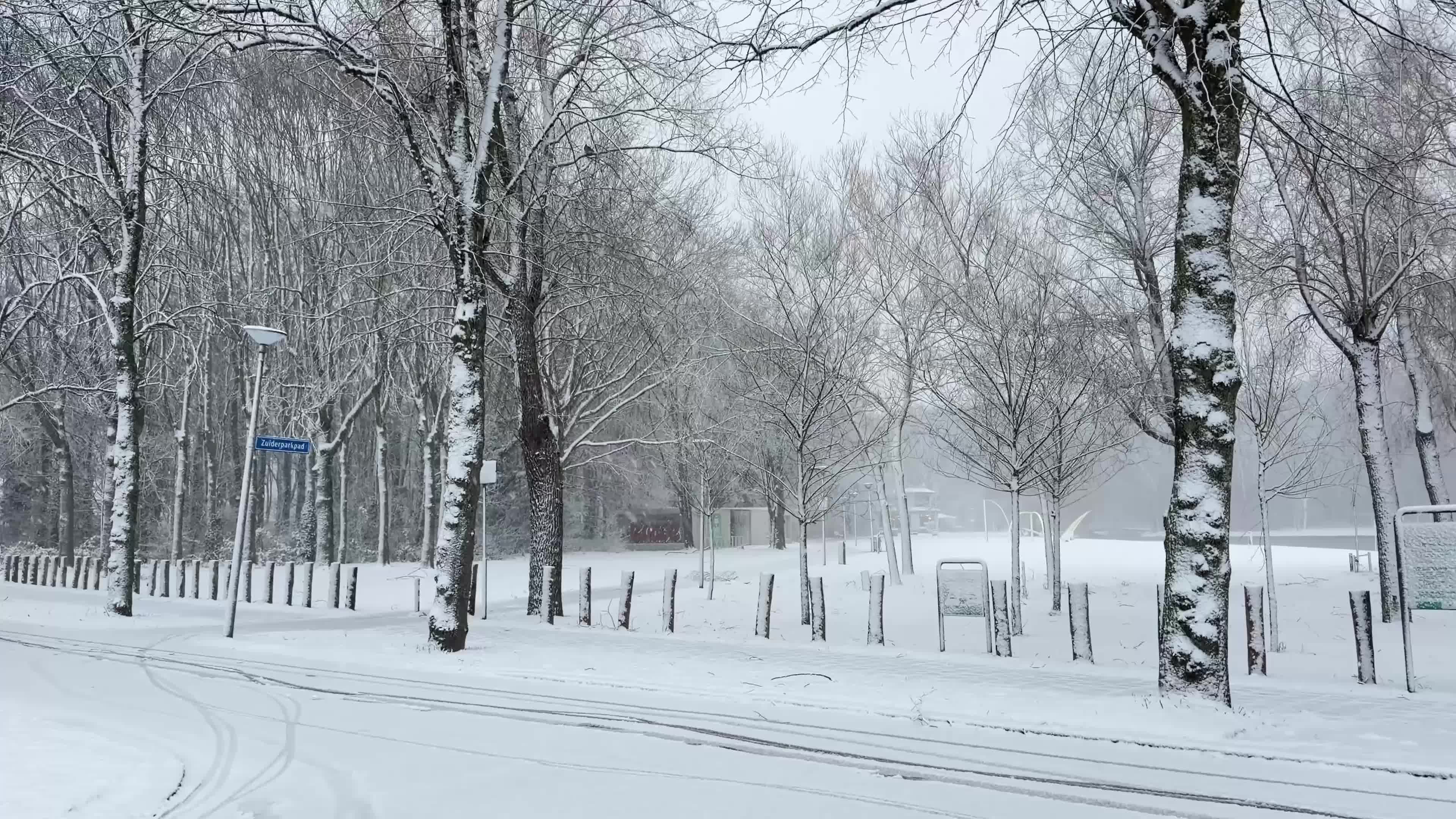 Winter Snowfall Affects the Netherlands