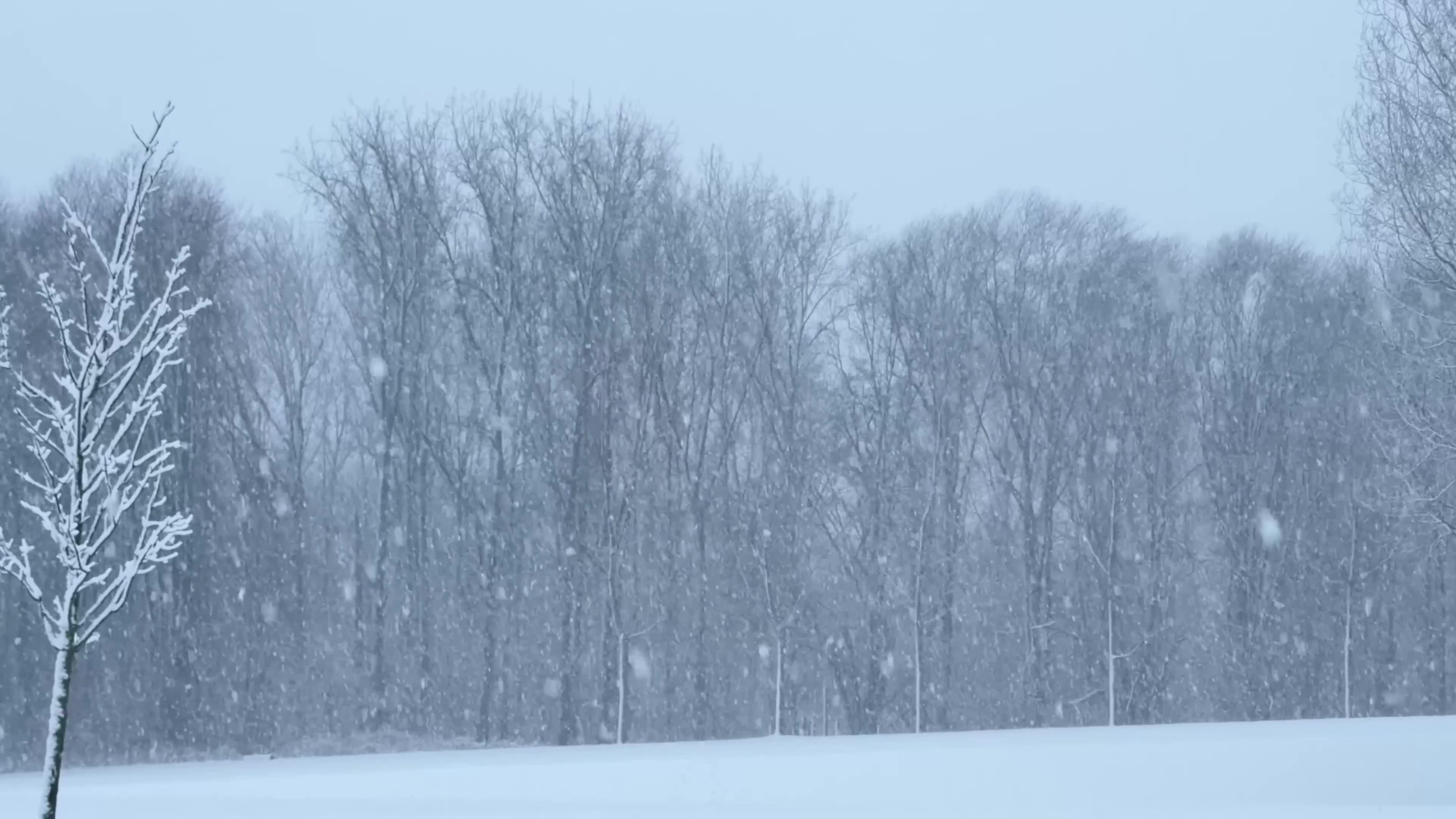 Winter Snowfall Affects the Netherlands