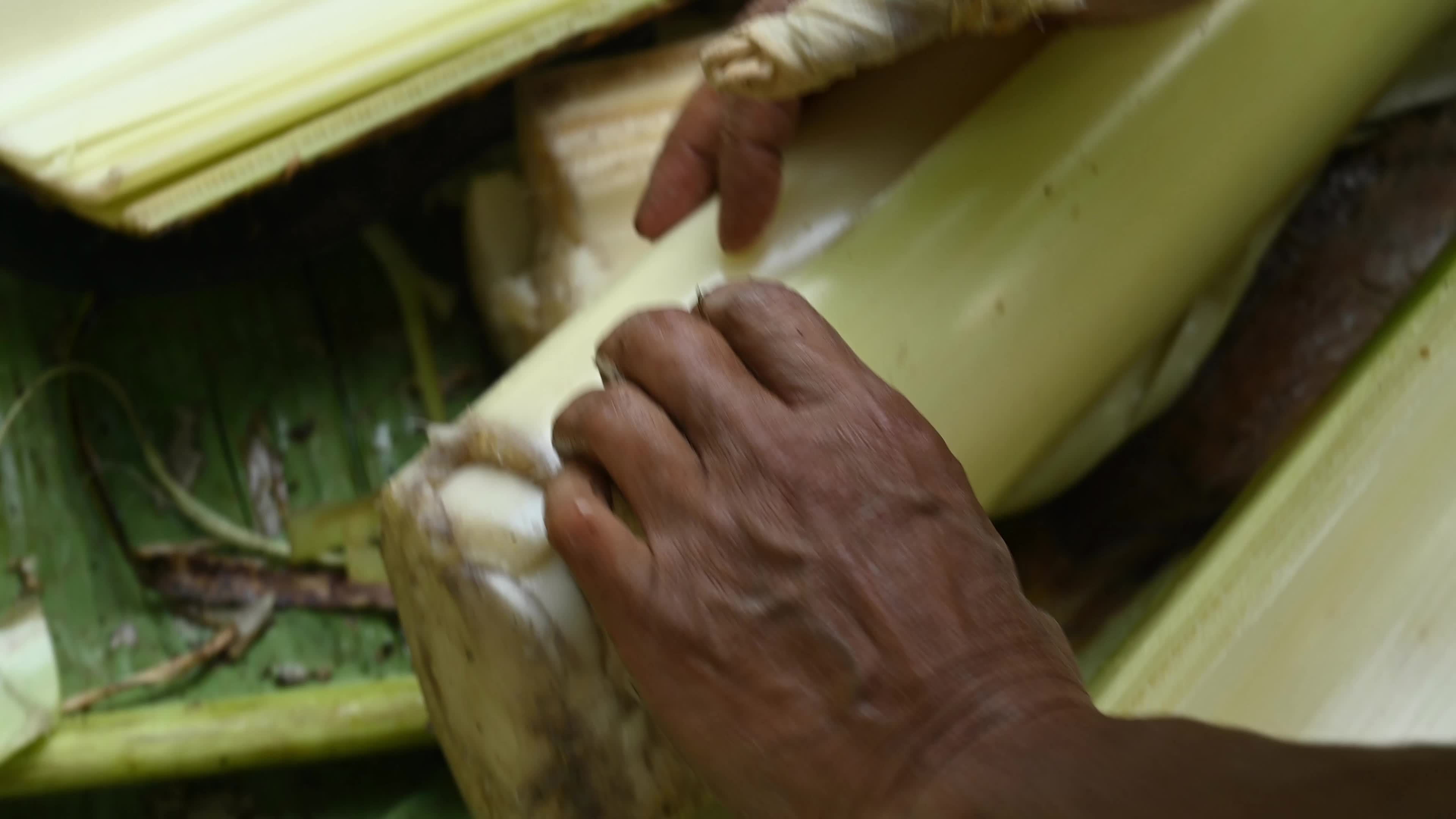 Banana Cultivation In India