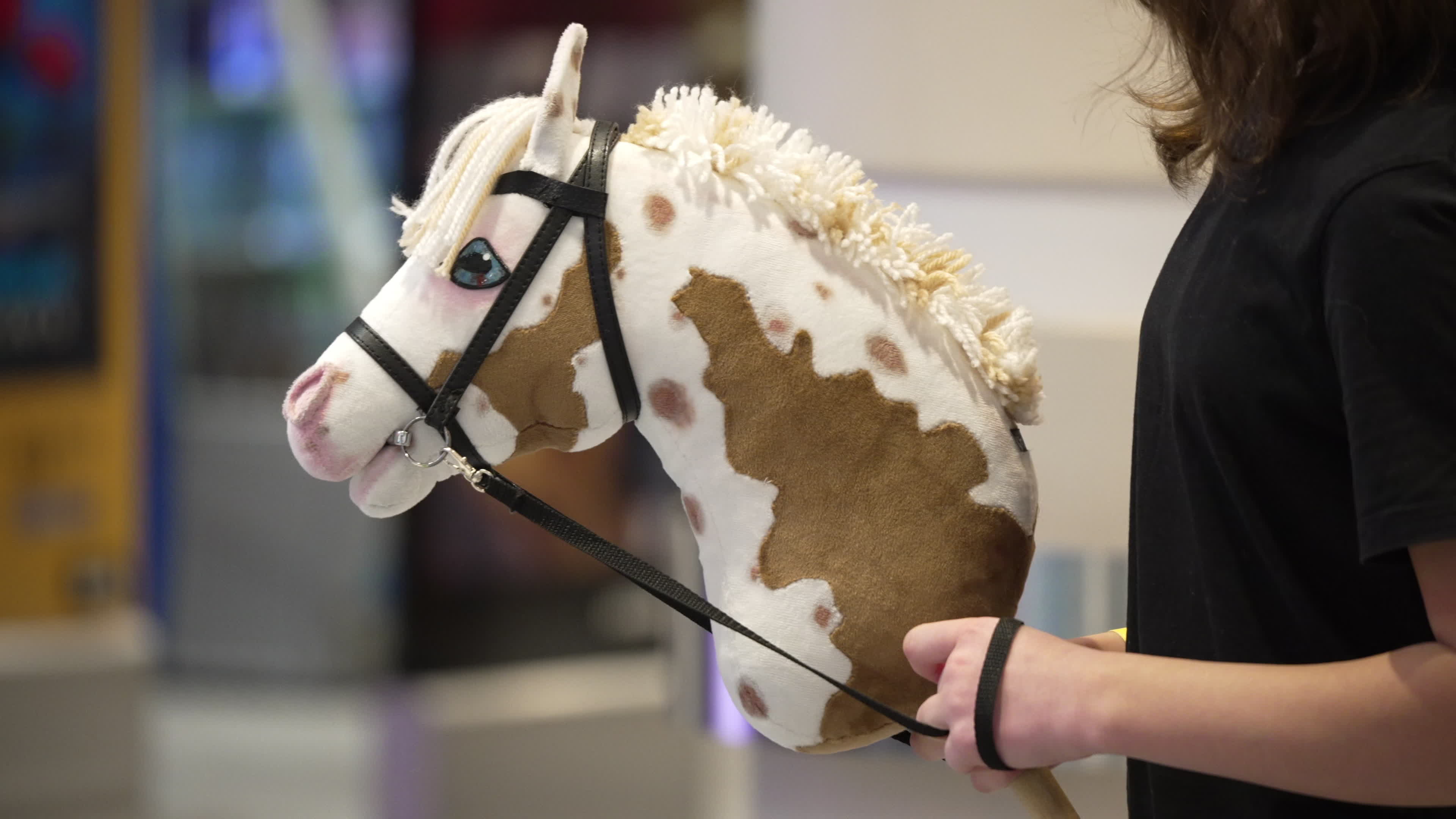 Hobby Horse Competition in Warsaw