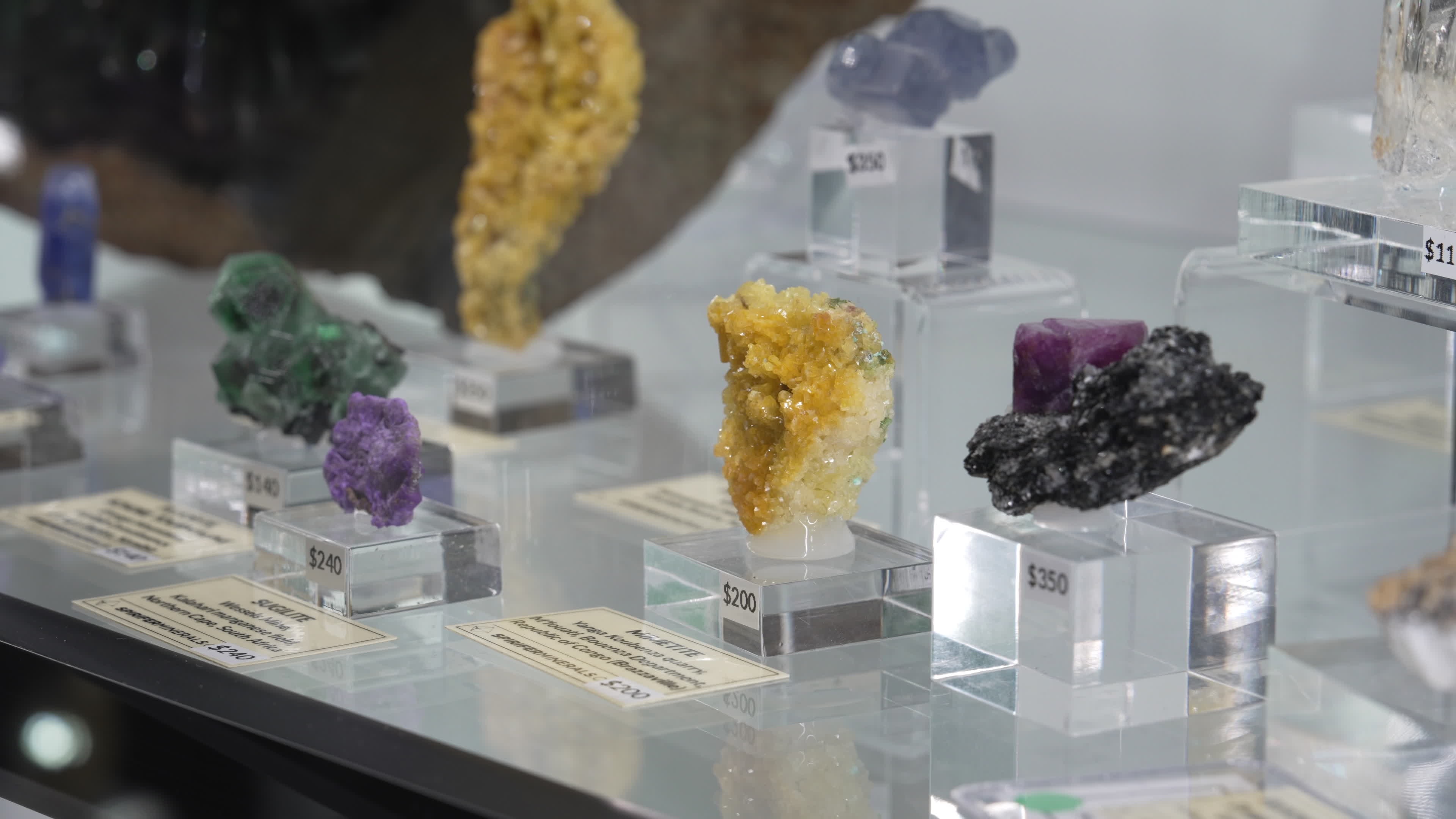 Warsaw Mineral Fair