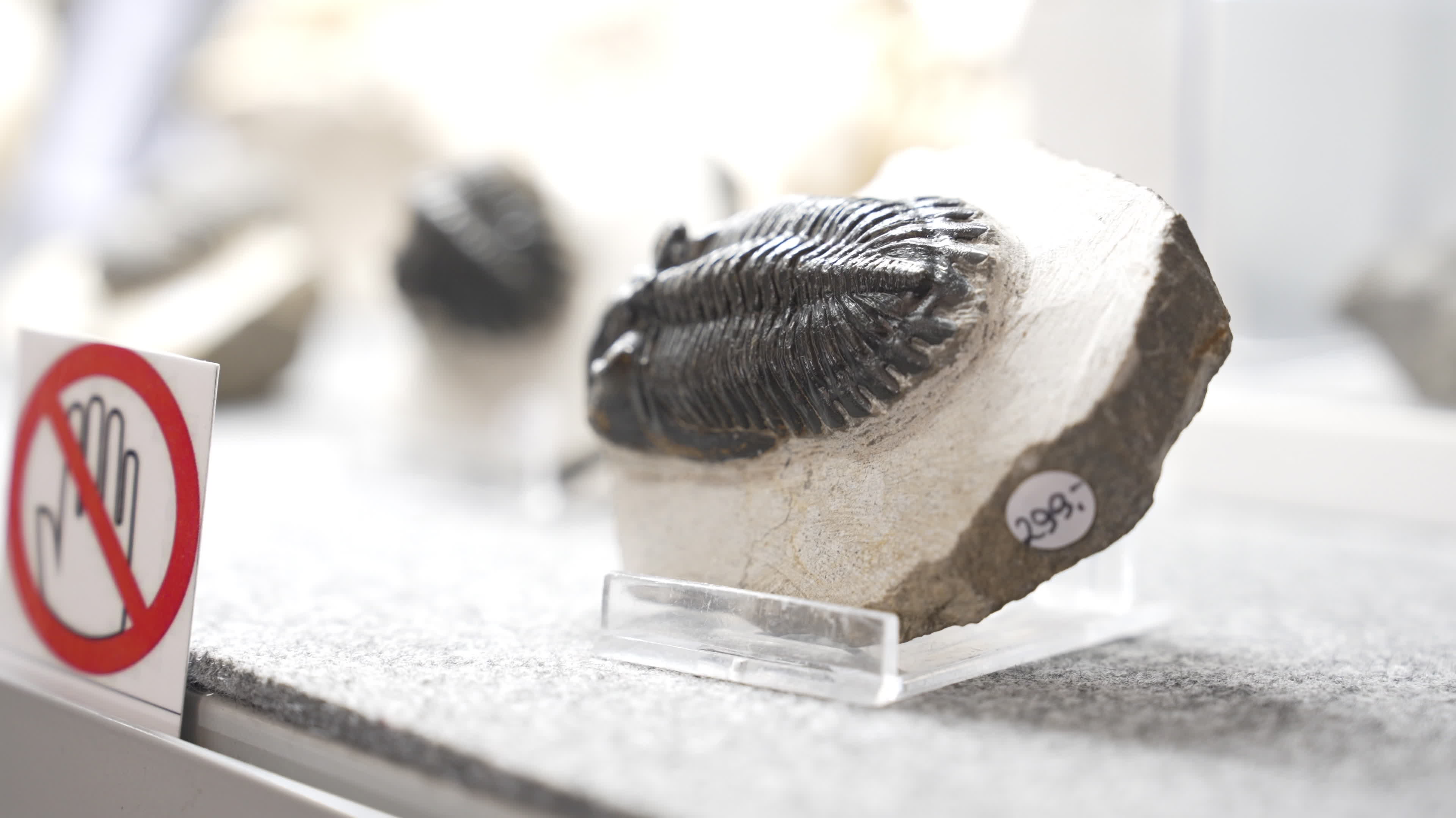 Warsaw Mineral Fair