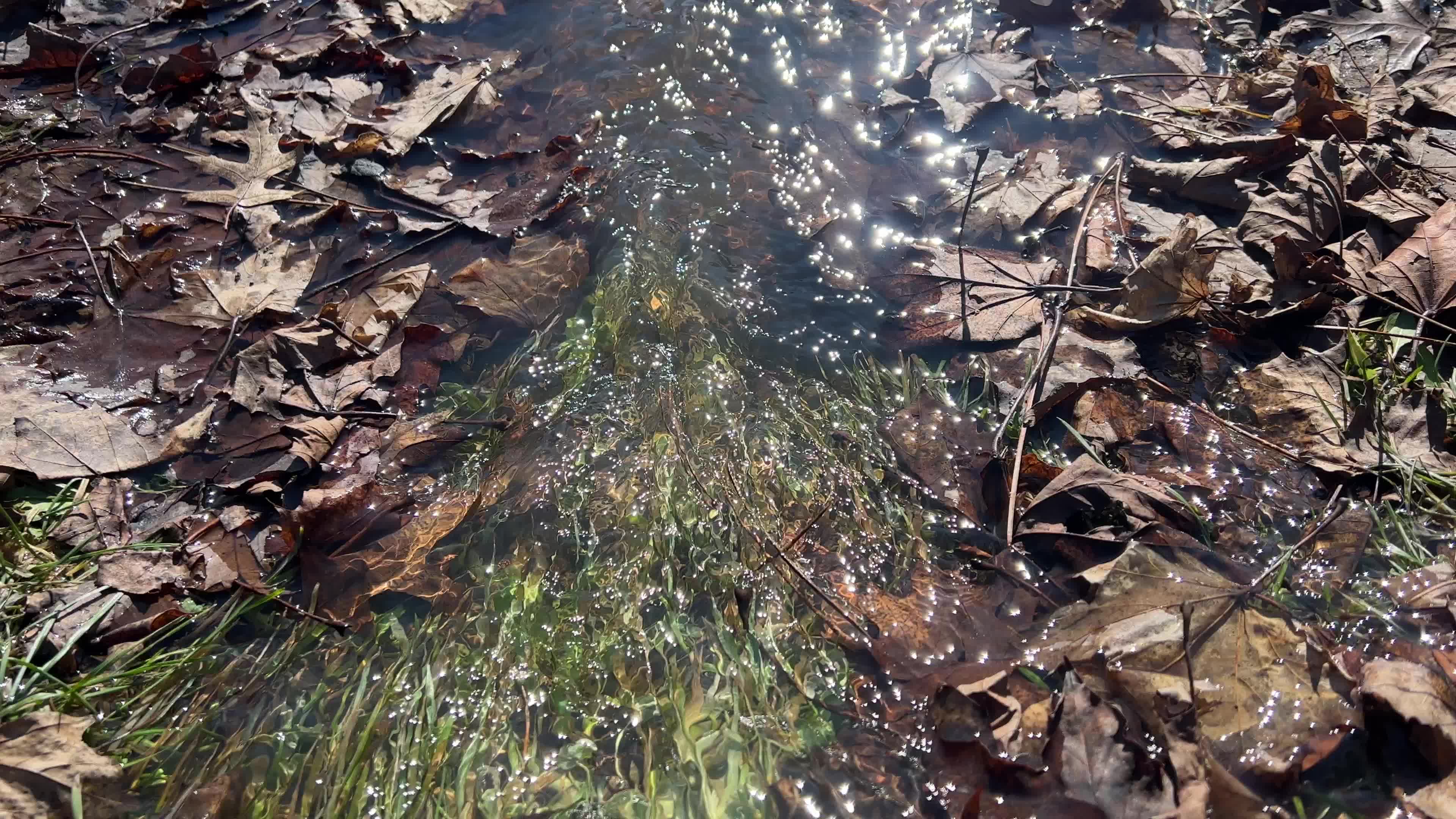 Snow begins to melt during warm weather in Toronto