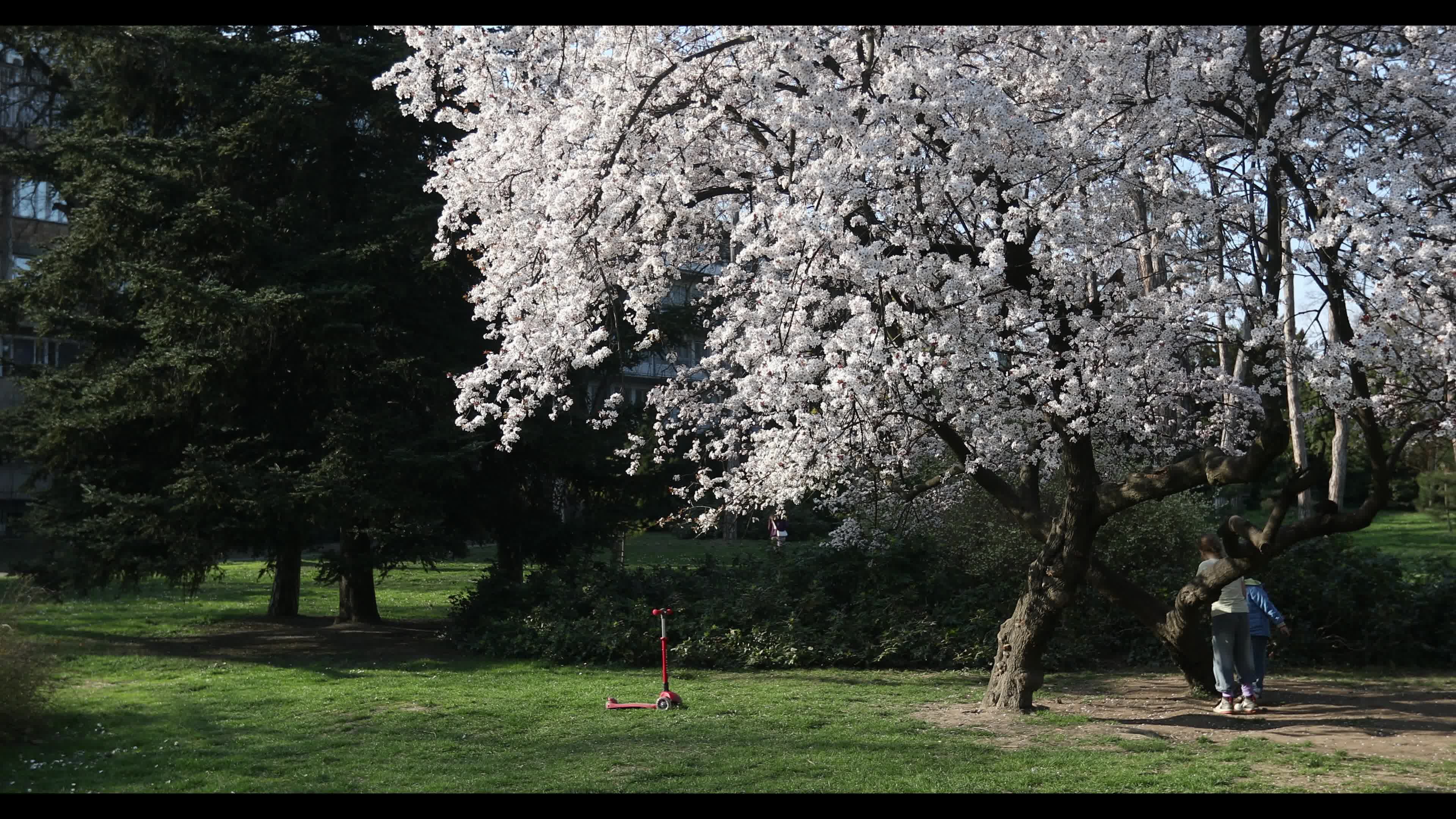 Futoshka Park in spring