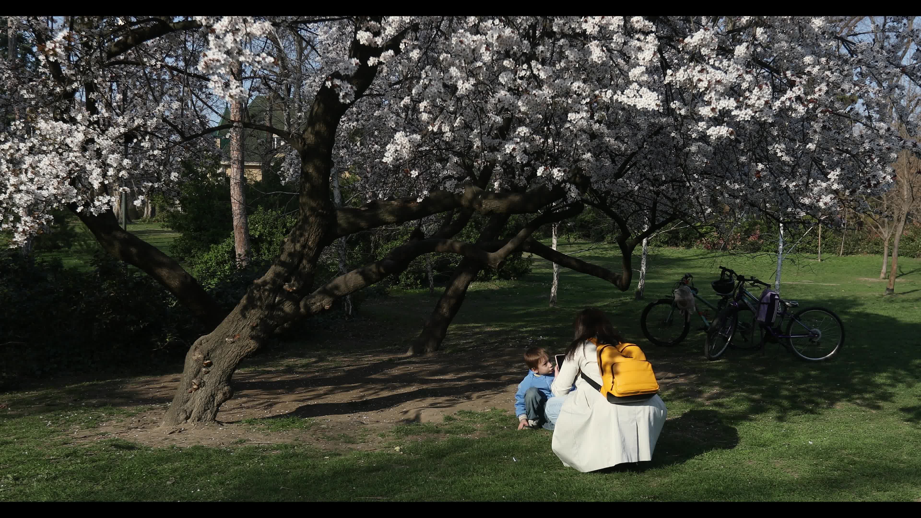 Futoshka Park in spring