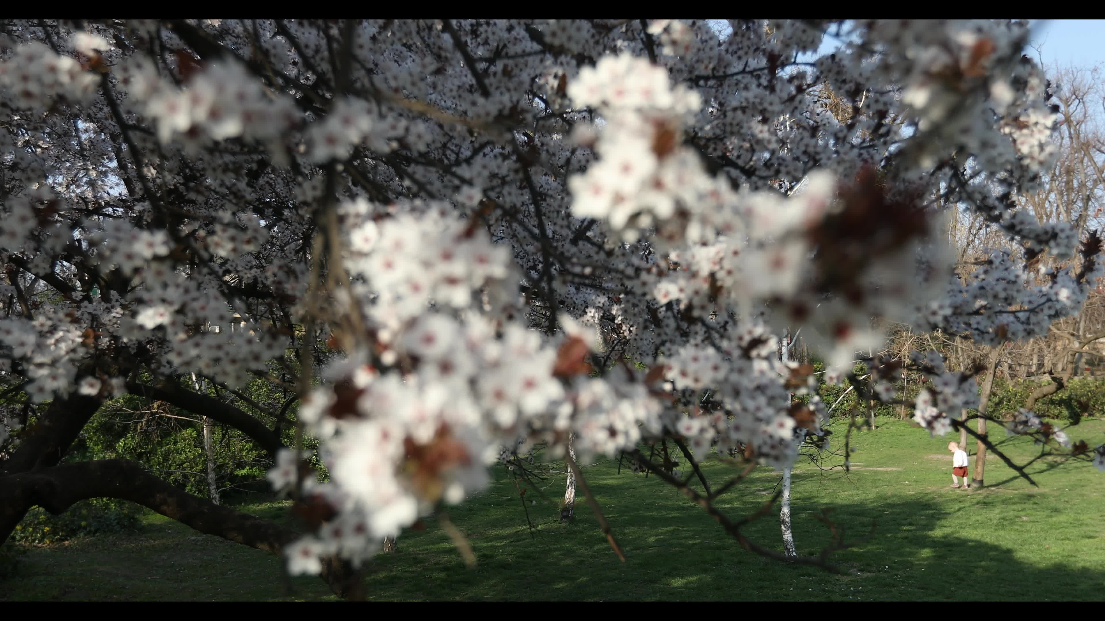 Futoshka Park in spring
