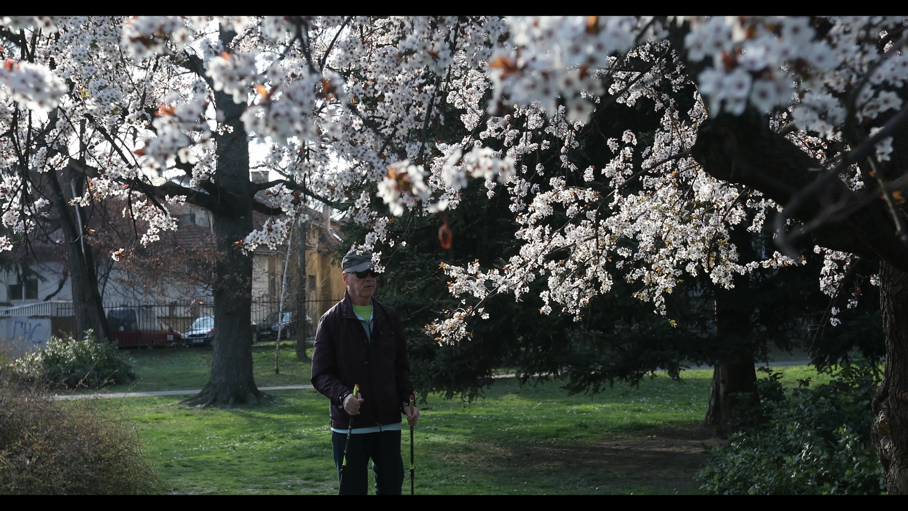 Futoshka Park in spring