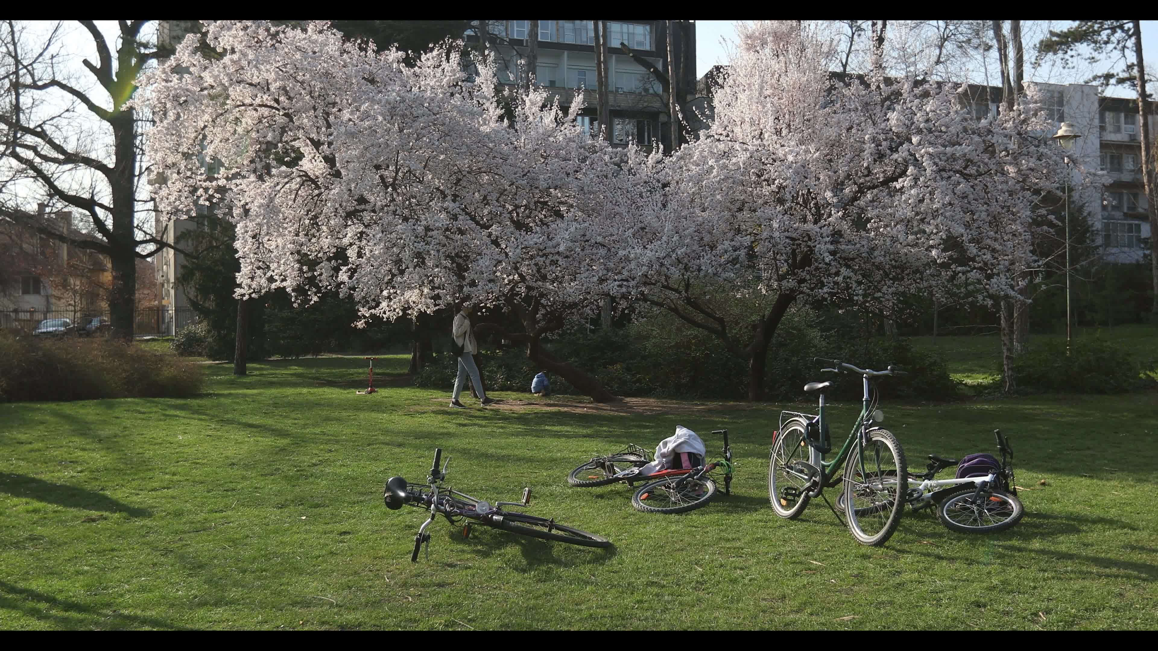 Futoshka Park in spring