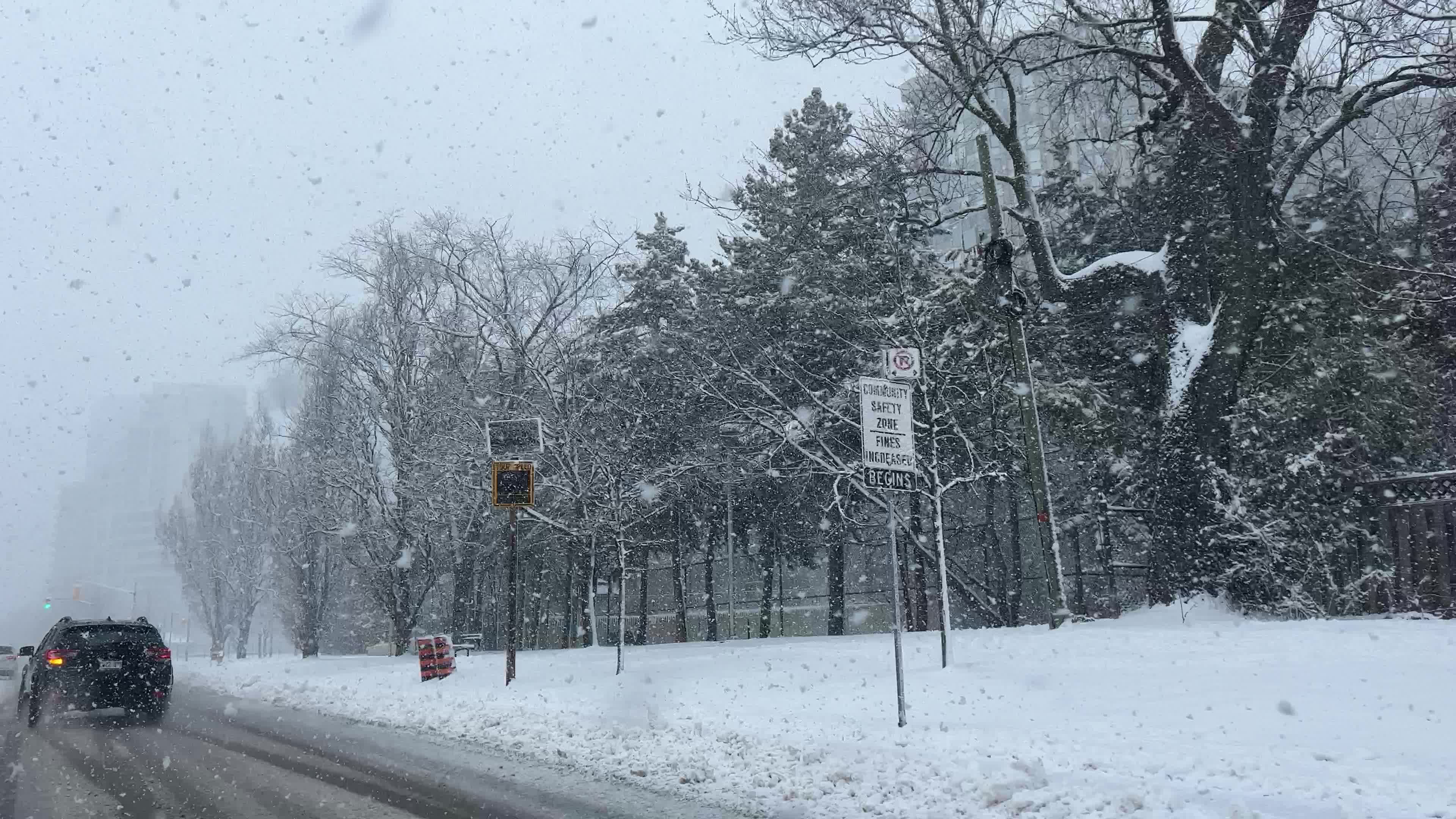 Snowfall in Toronto
