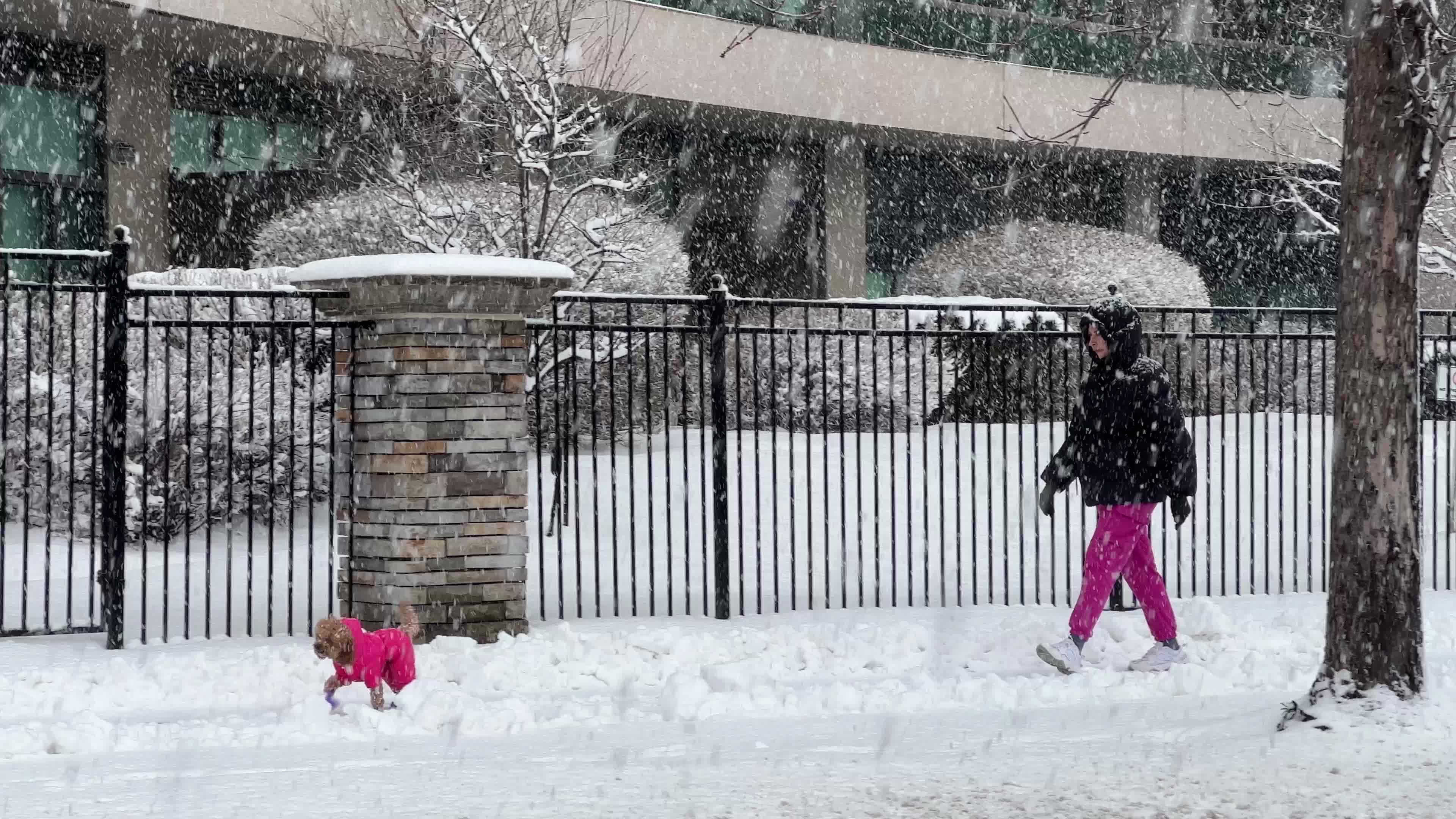 Snowfall in Toronto
