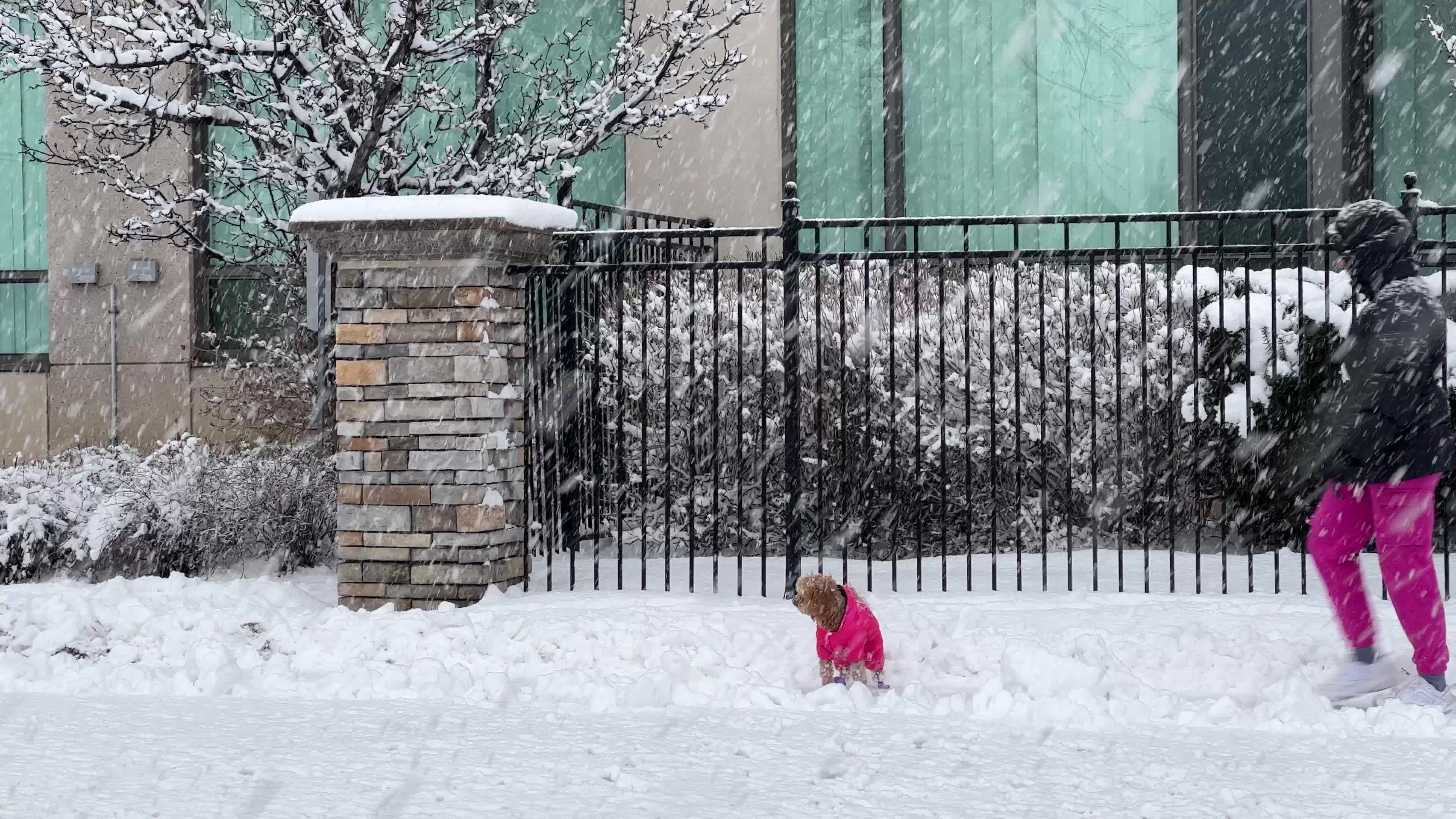 Snowfall in Toronto