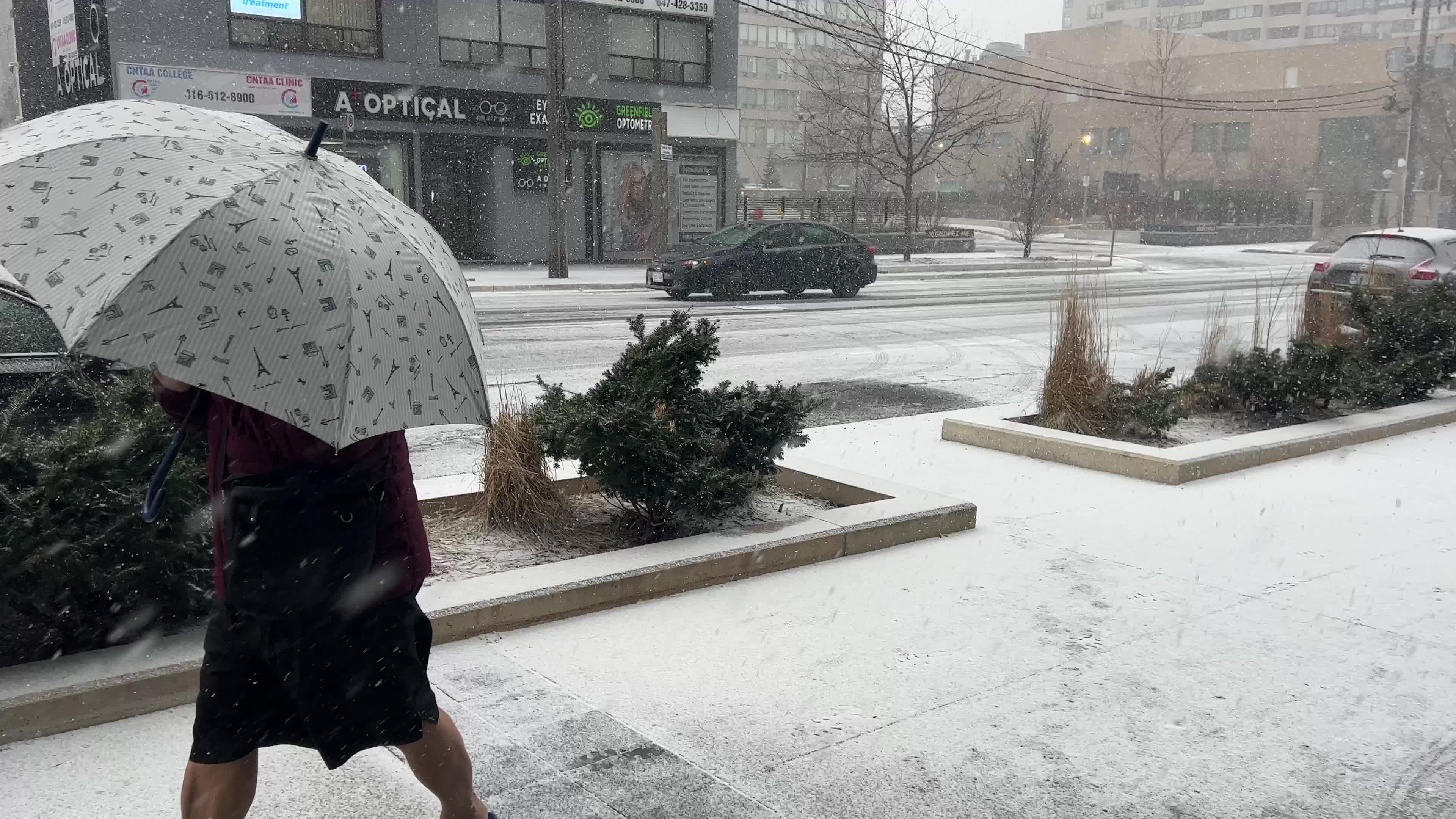 Snowfall in Toronto