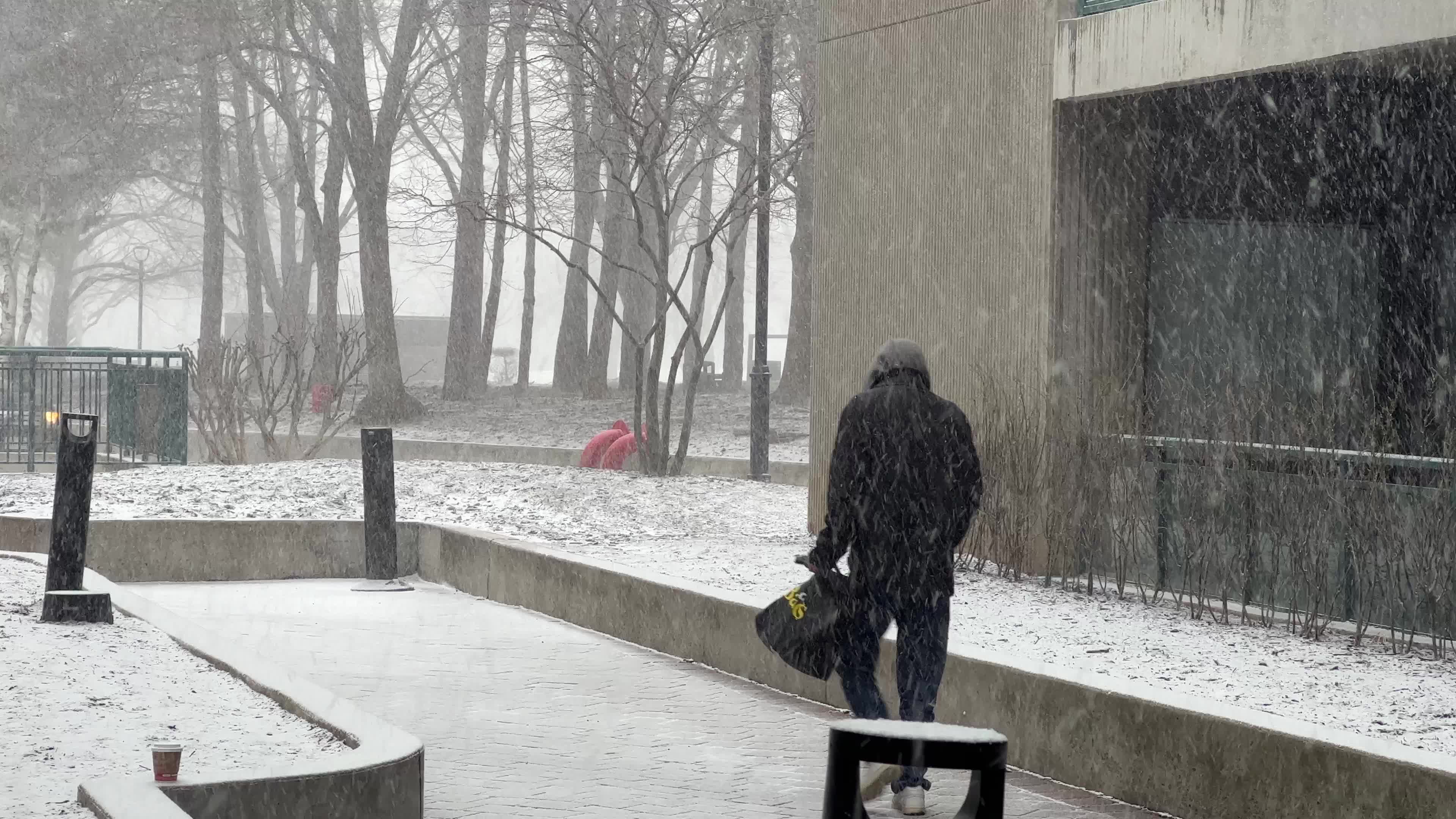Snowfall in Toronto