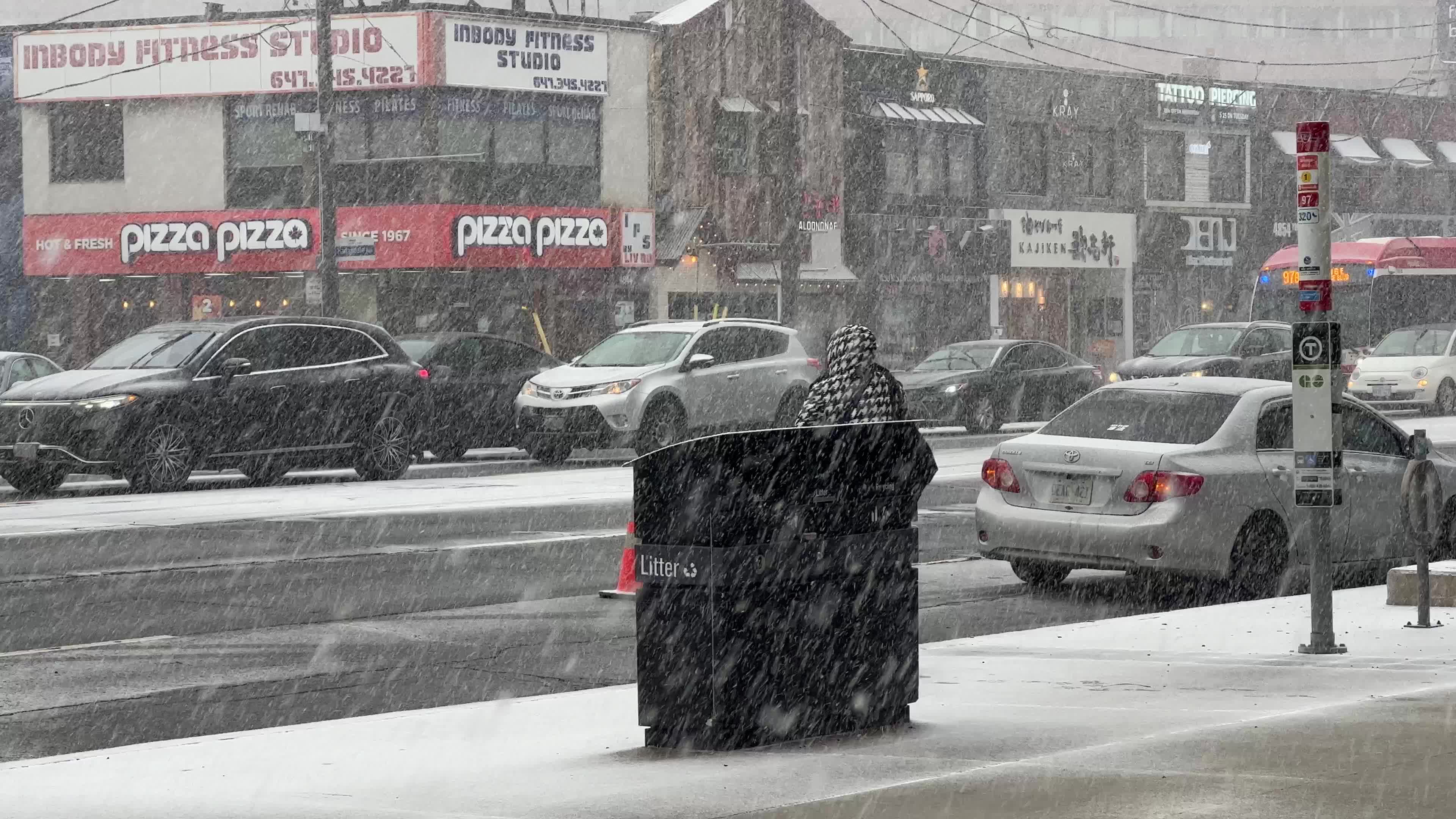 Snowfall in Toronto