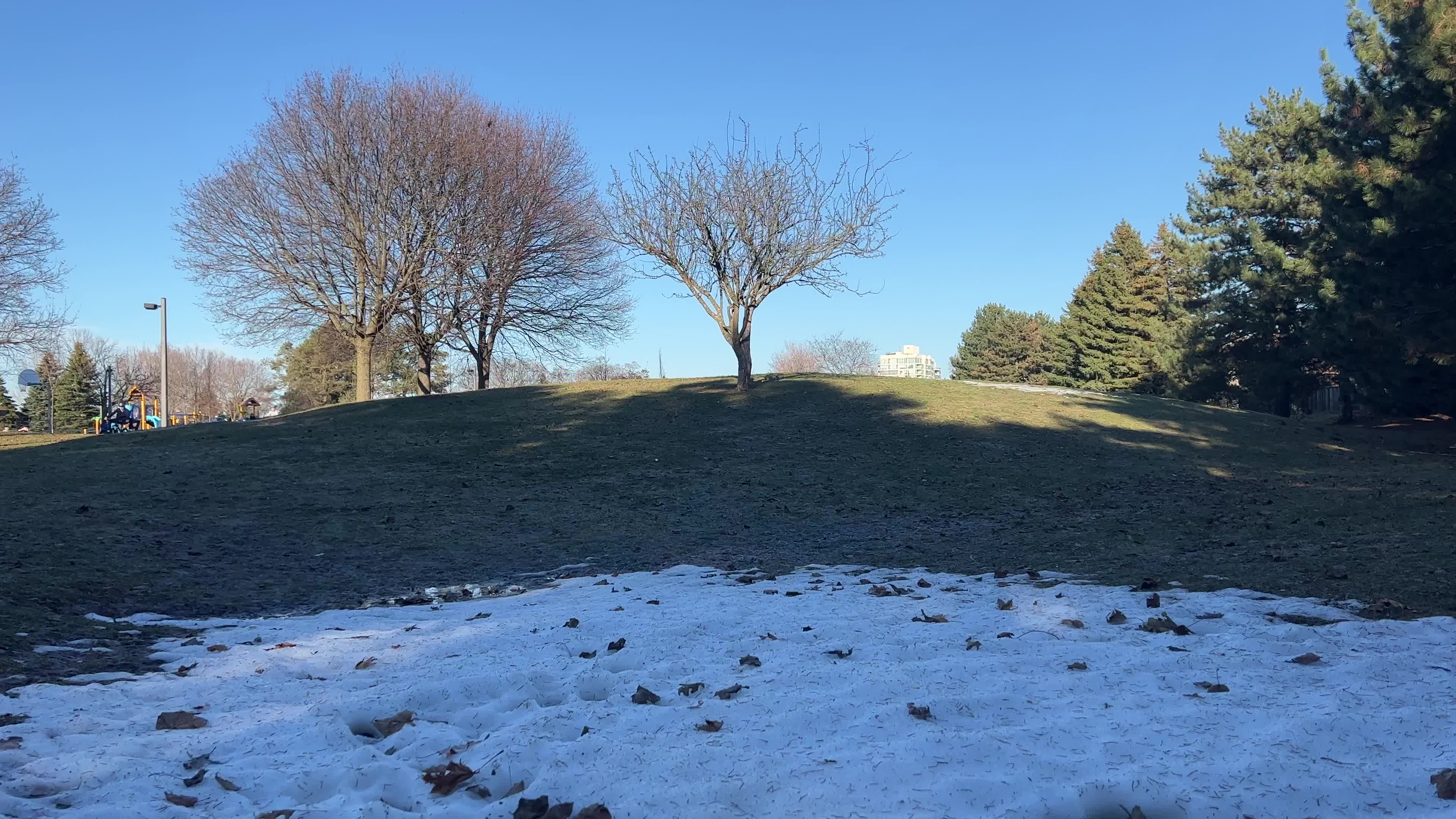 Warm weather in Toronto