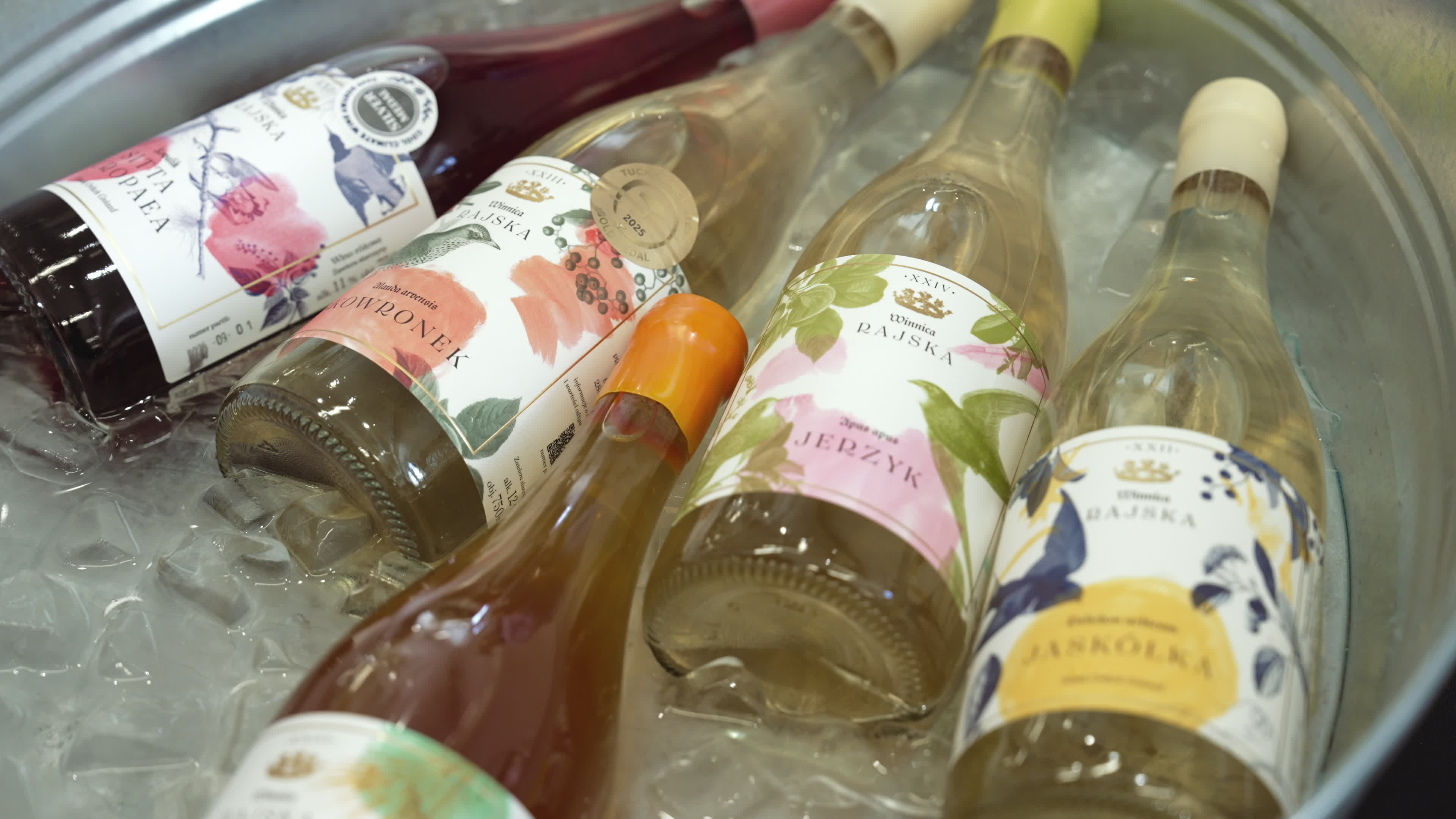 Polish Wine Festival