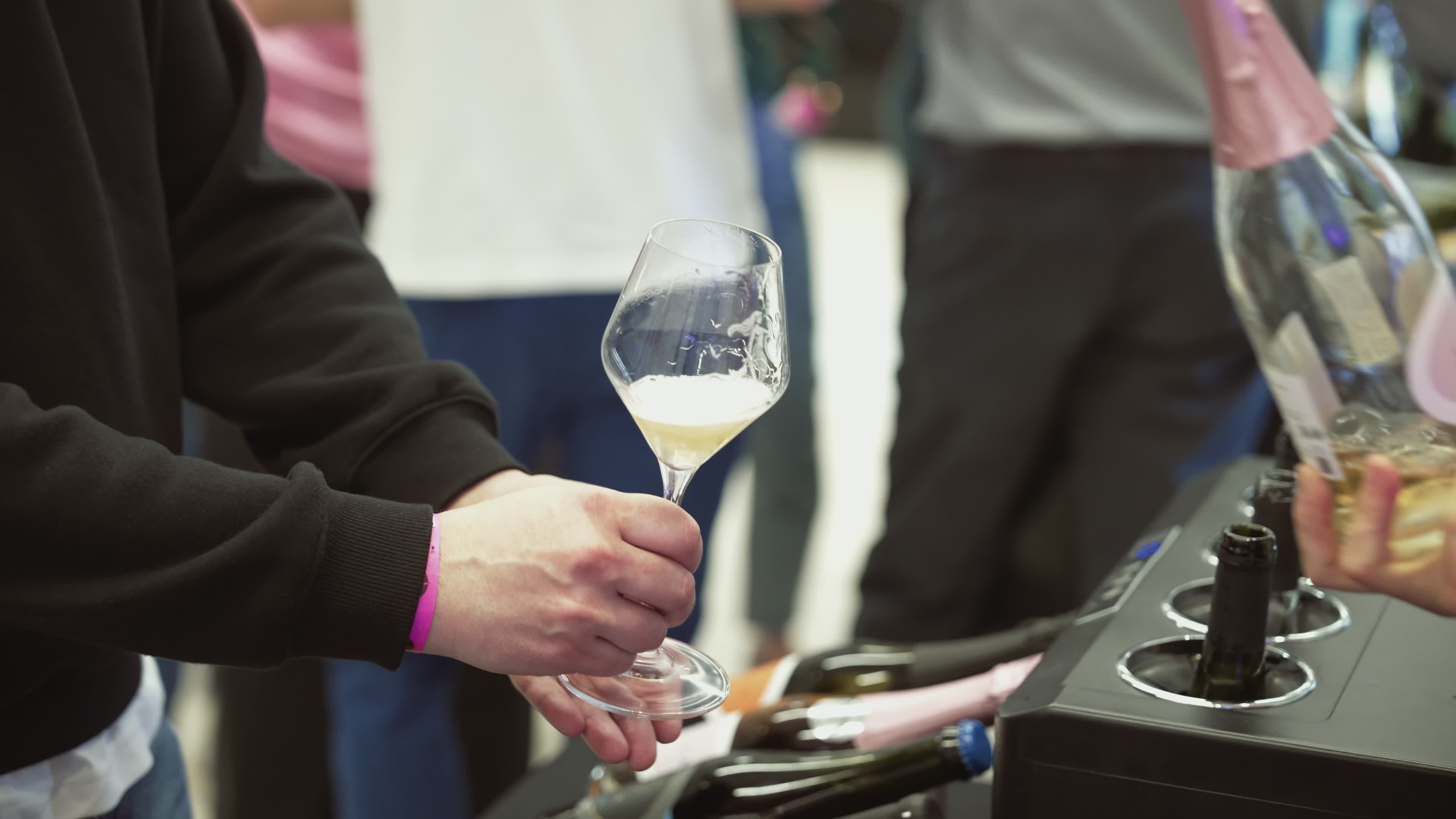 Polish Wine Festival