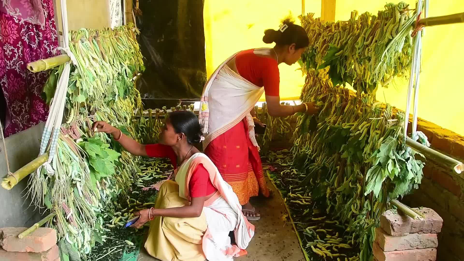 Silk Textile Production In India