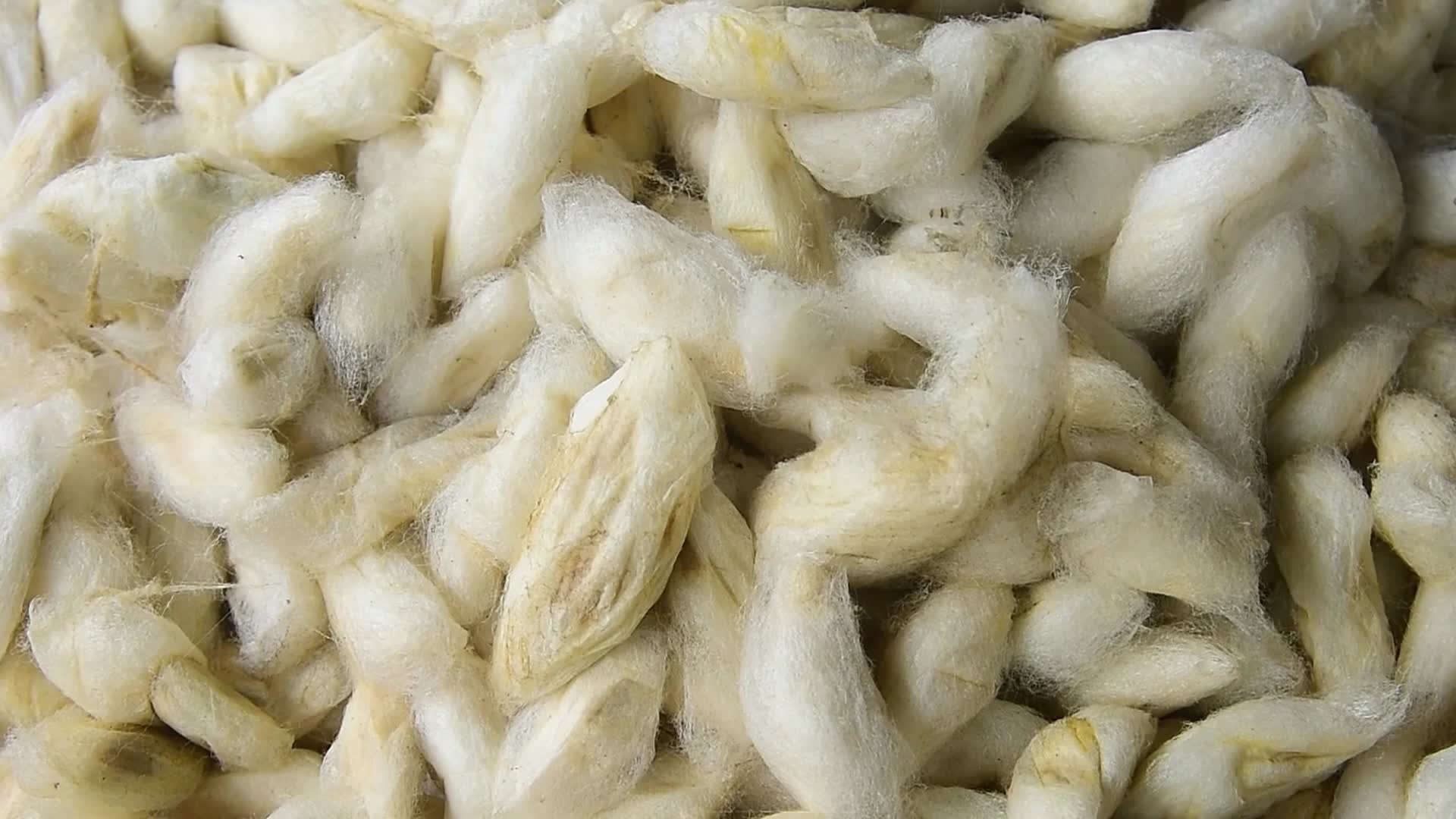 Silk Textile Production In India